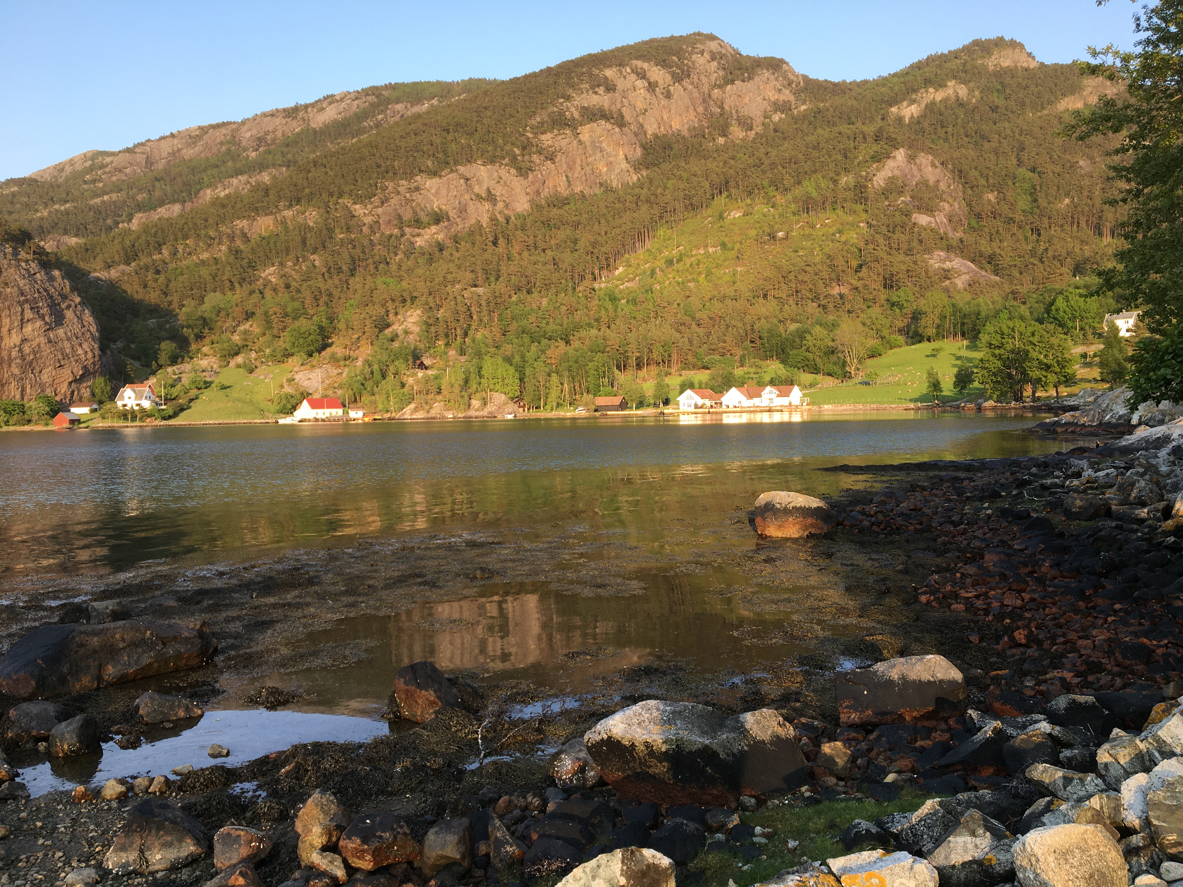 media_F45RQSYSQ4HWPD43