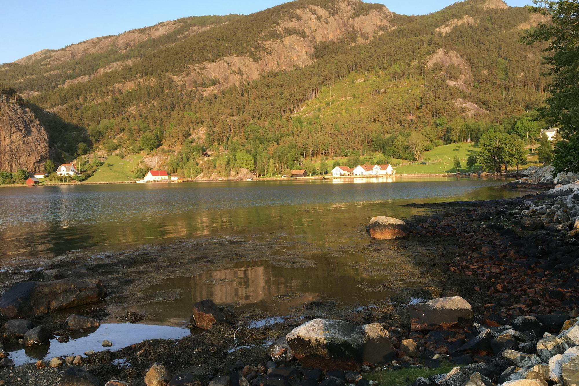 media_F45RQSYSQ4HWPD43