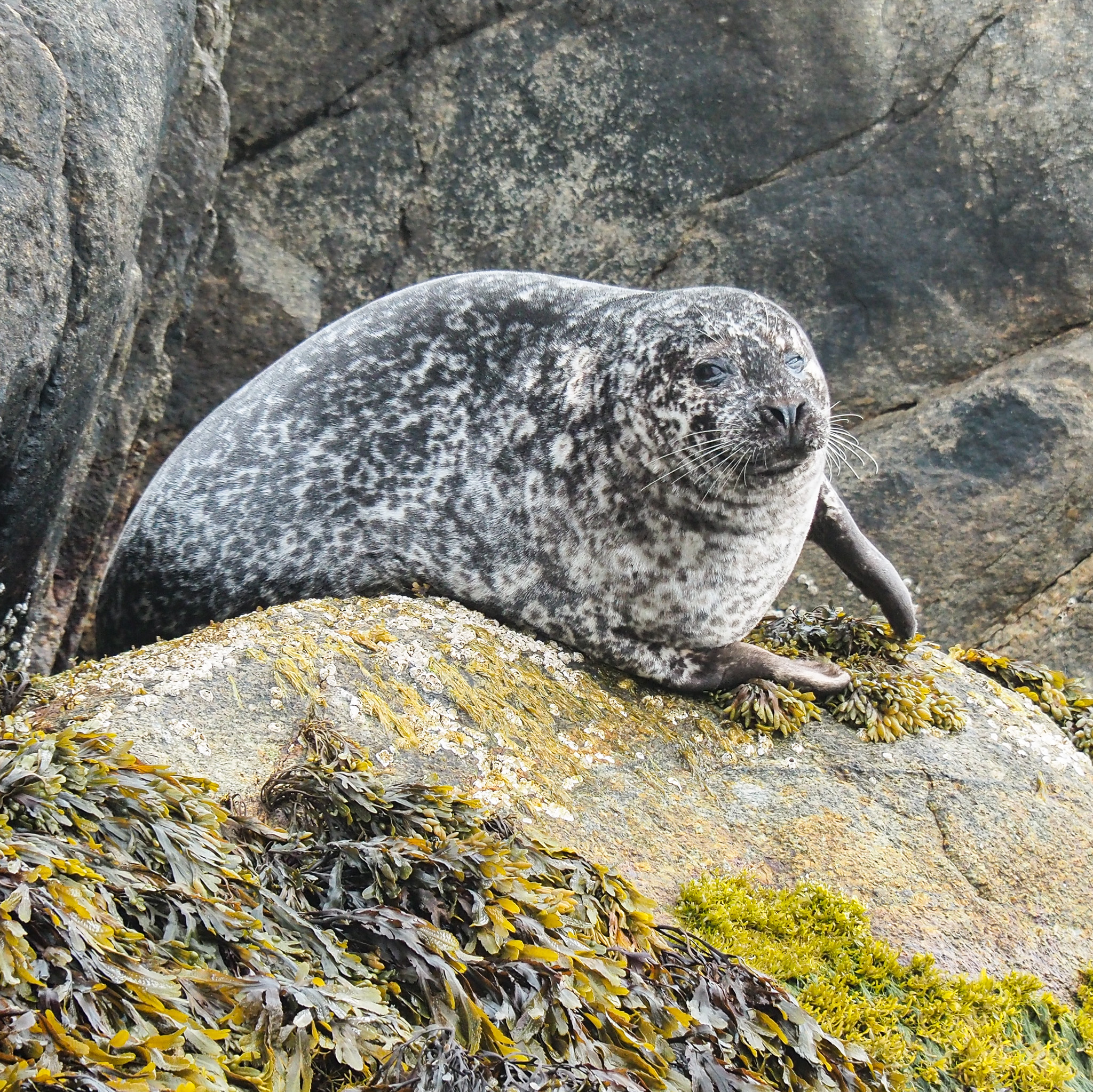 media_FBRMZQQNHA7F97NA