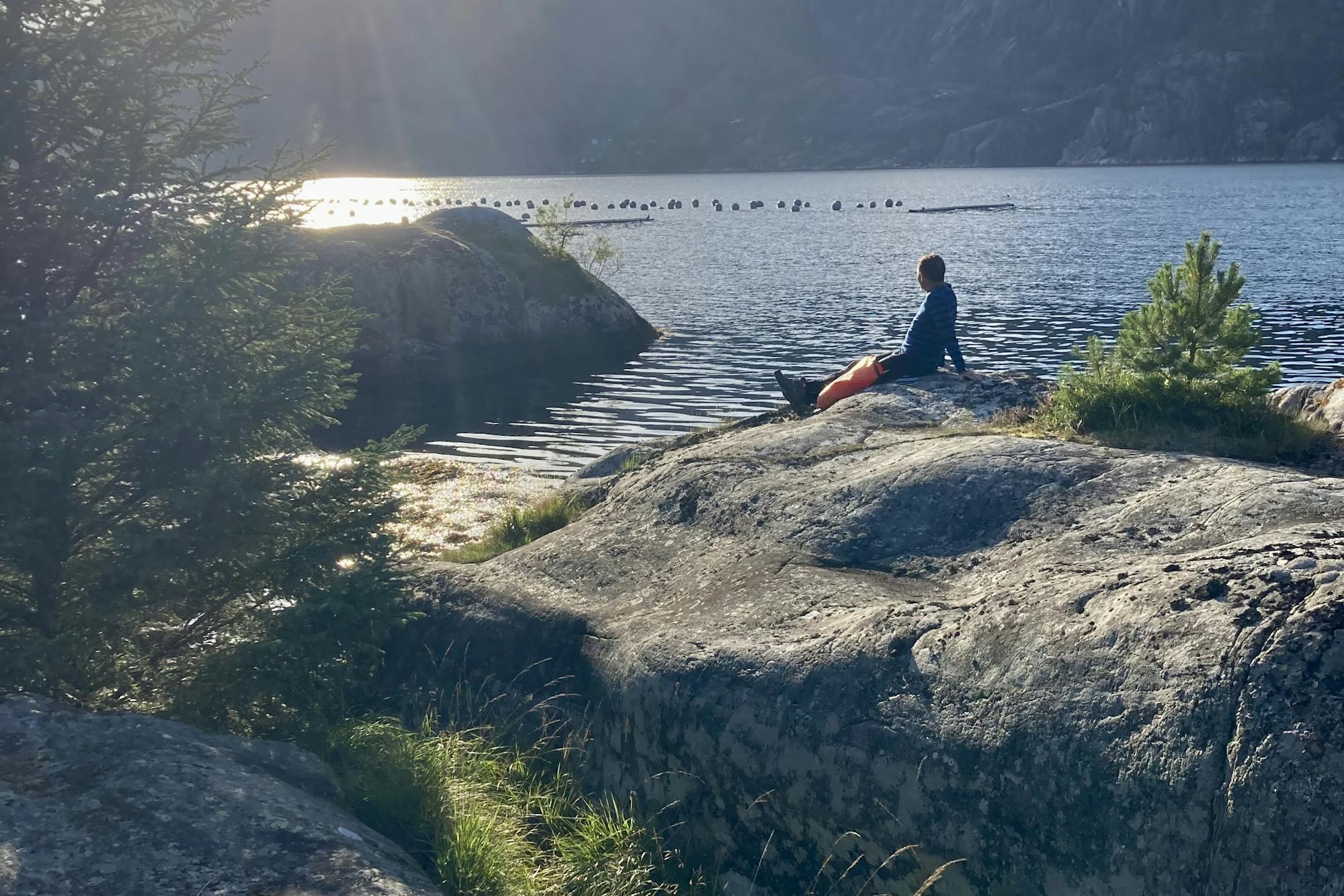 media_LRDJBT3D5HUXVF2X