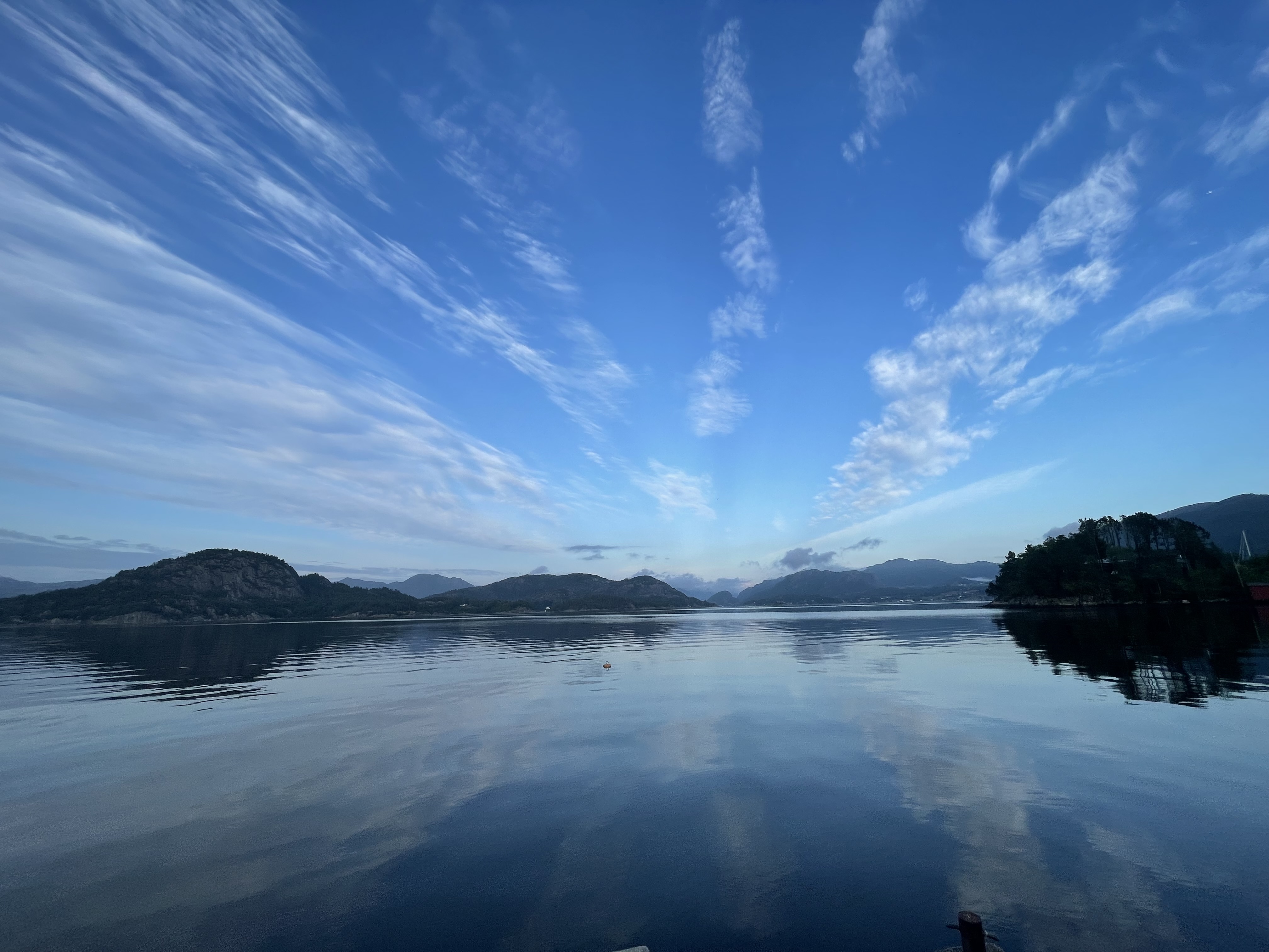 media_Y9U5S6UJTBDAVSKN