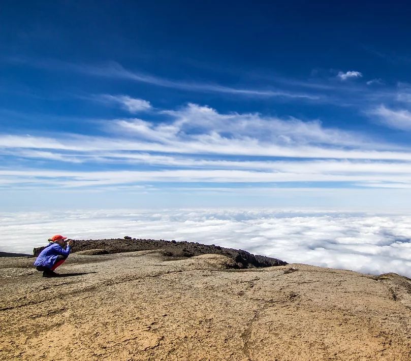 media_3PZBVRZVTB8TQLGA