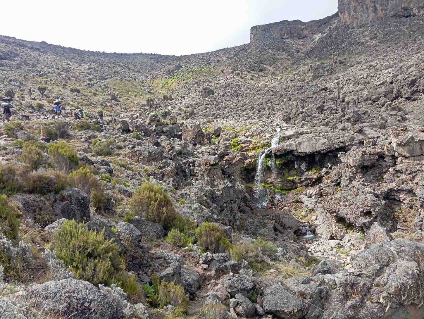 media_4H7ZBEUFFLKU7V99