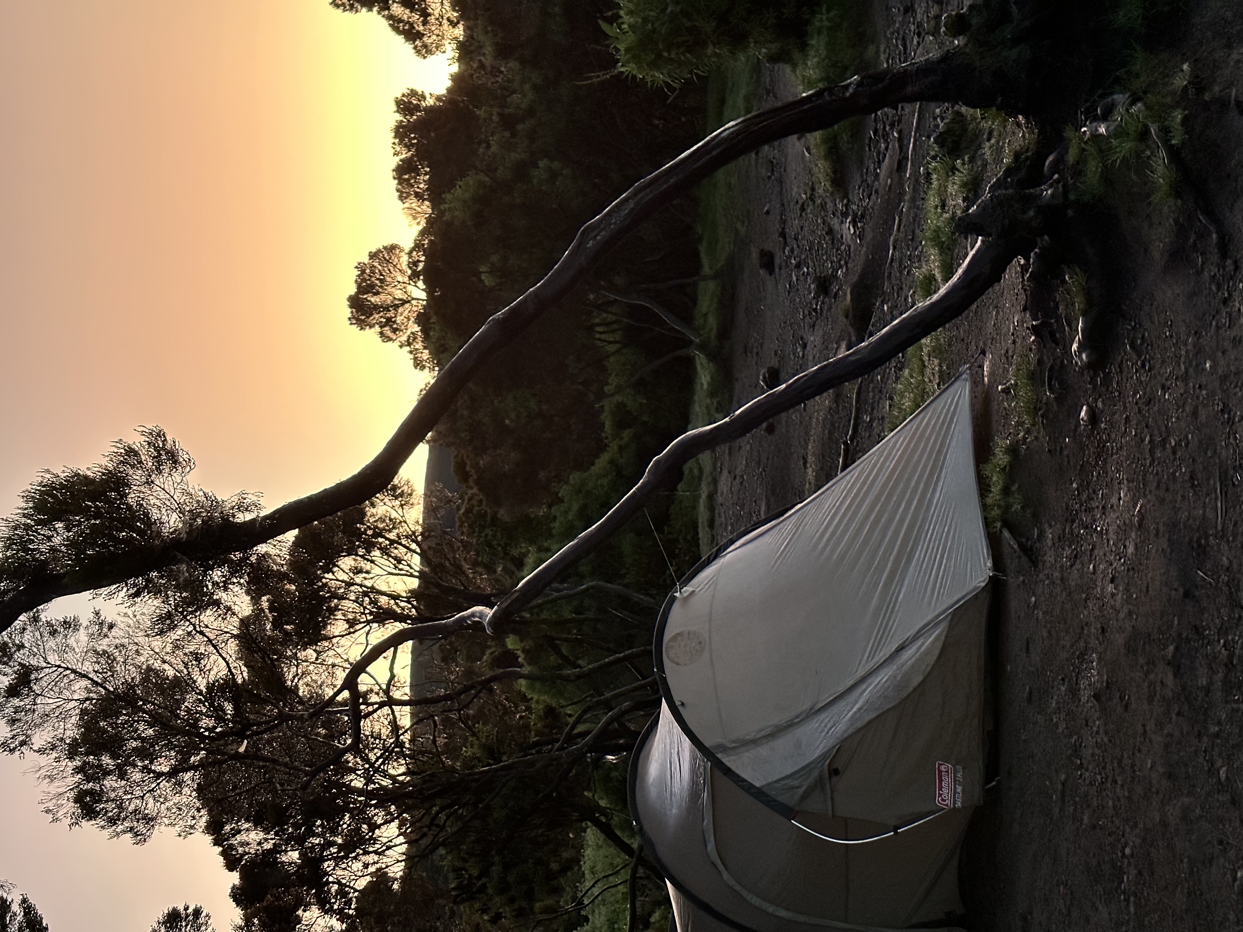 media_5DFQNA4R7736QJJE