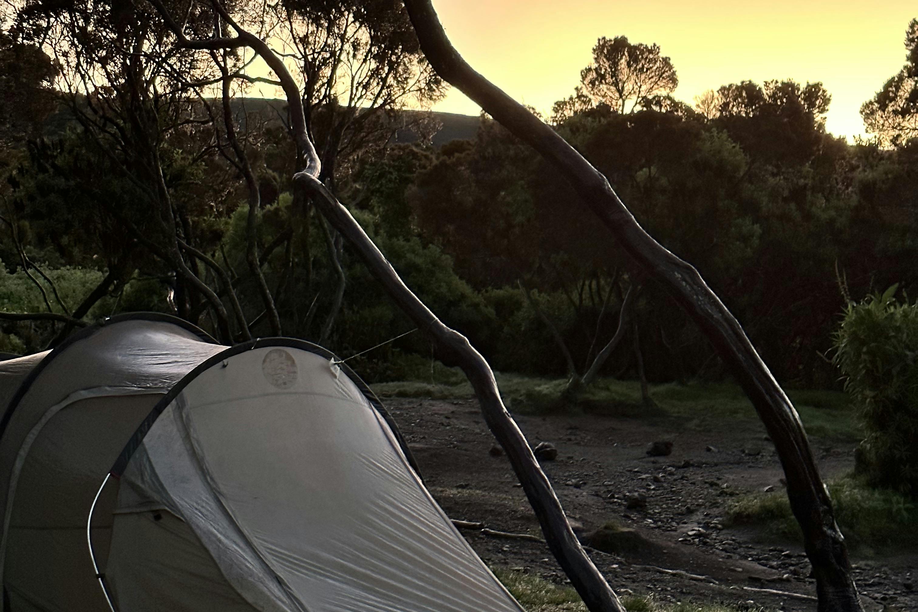 media_5DFQNA4R7736QJJE