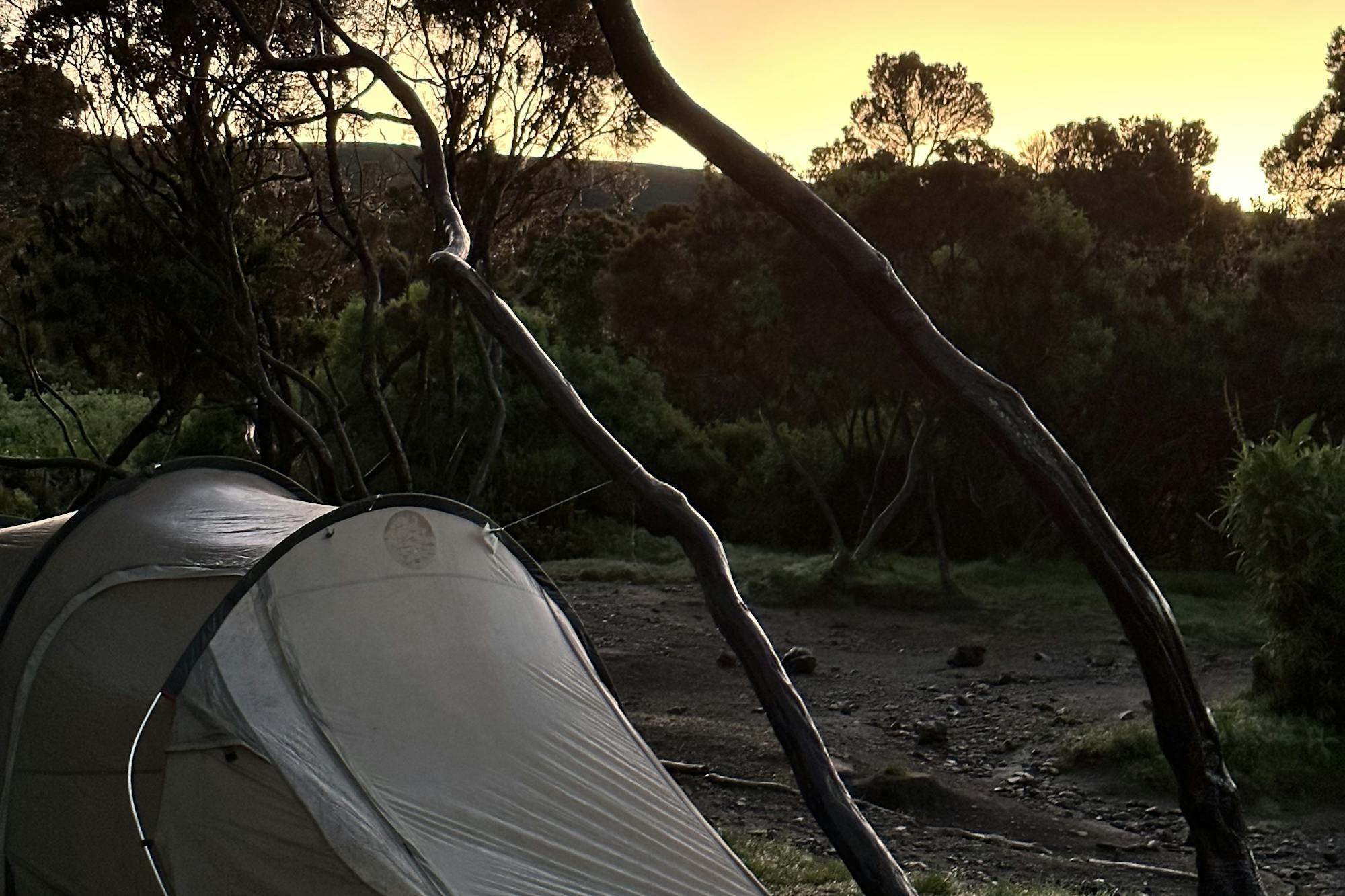 media_5DFQNA4R7736QJJE