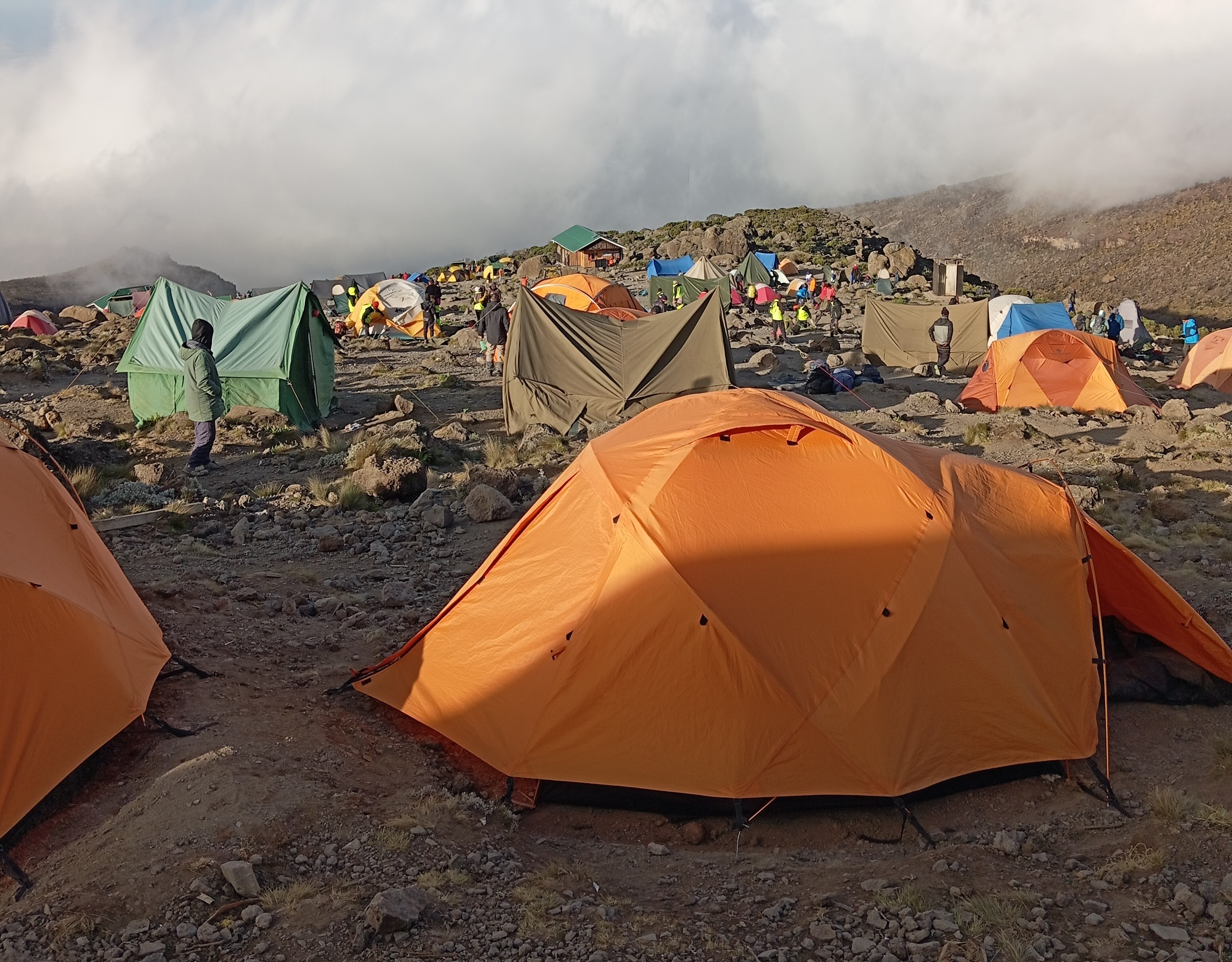 Kilimanjaro Lemosho (7 Day Route)