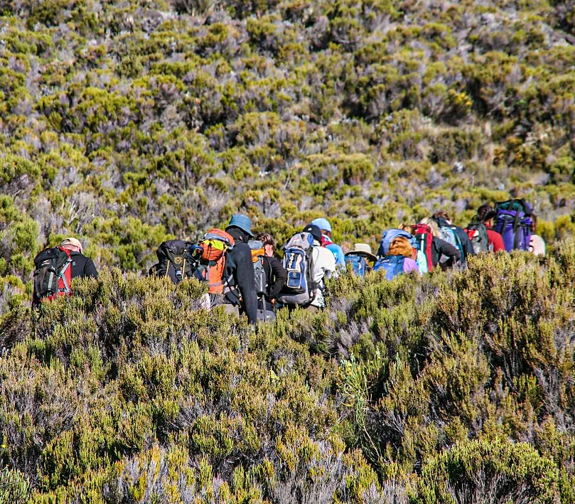 media_8FW8N3FHJD9T2D66