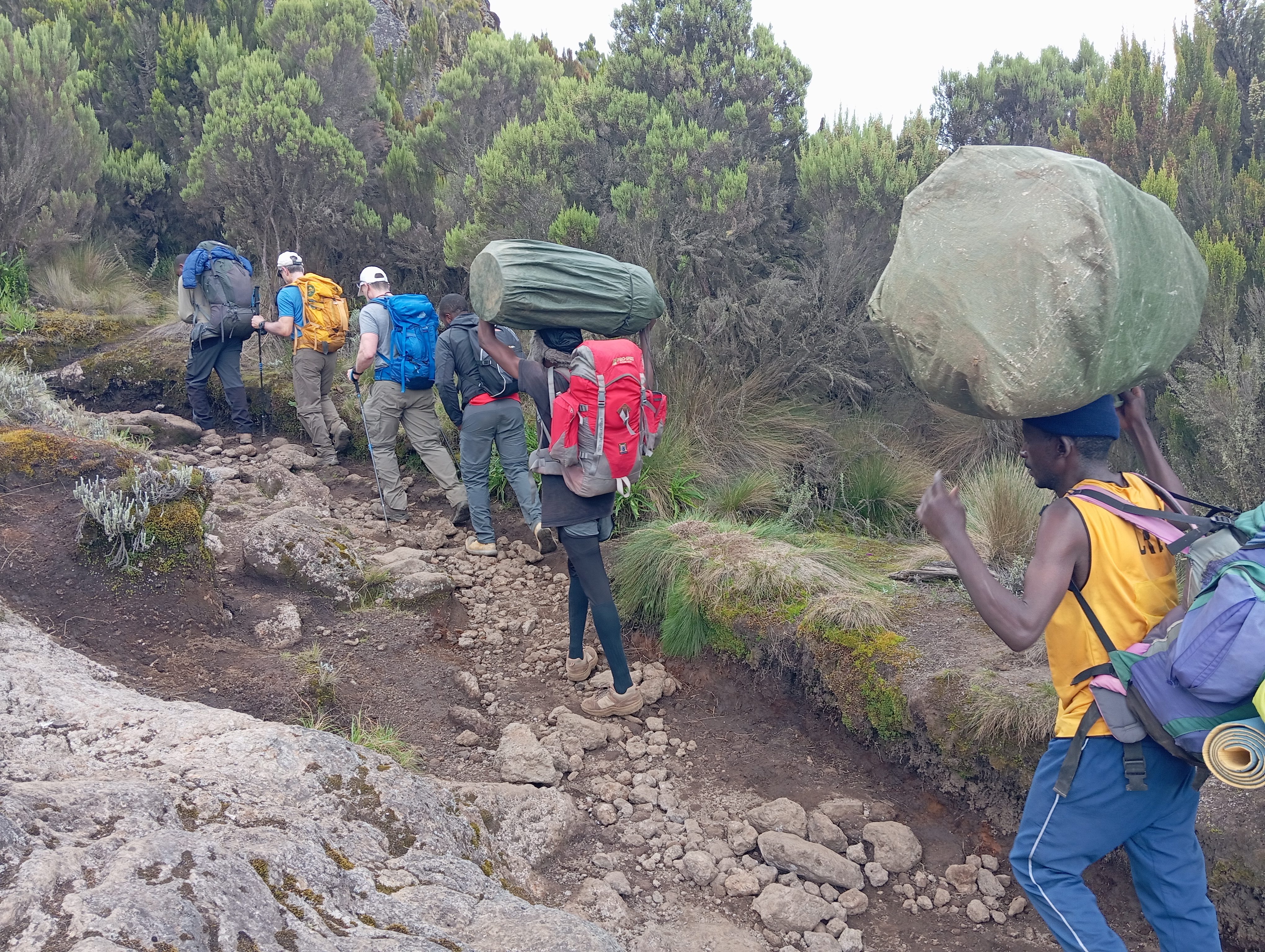 media_95XTNBEXG44BPSPY