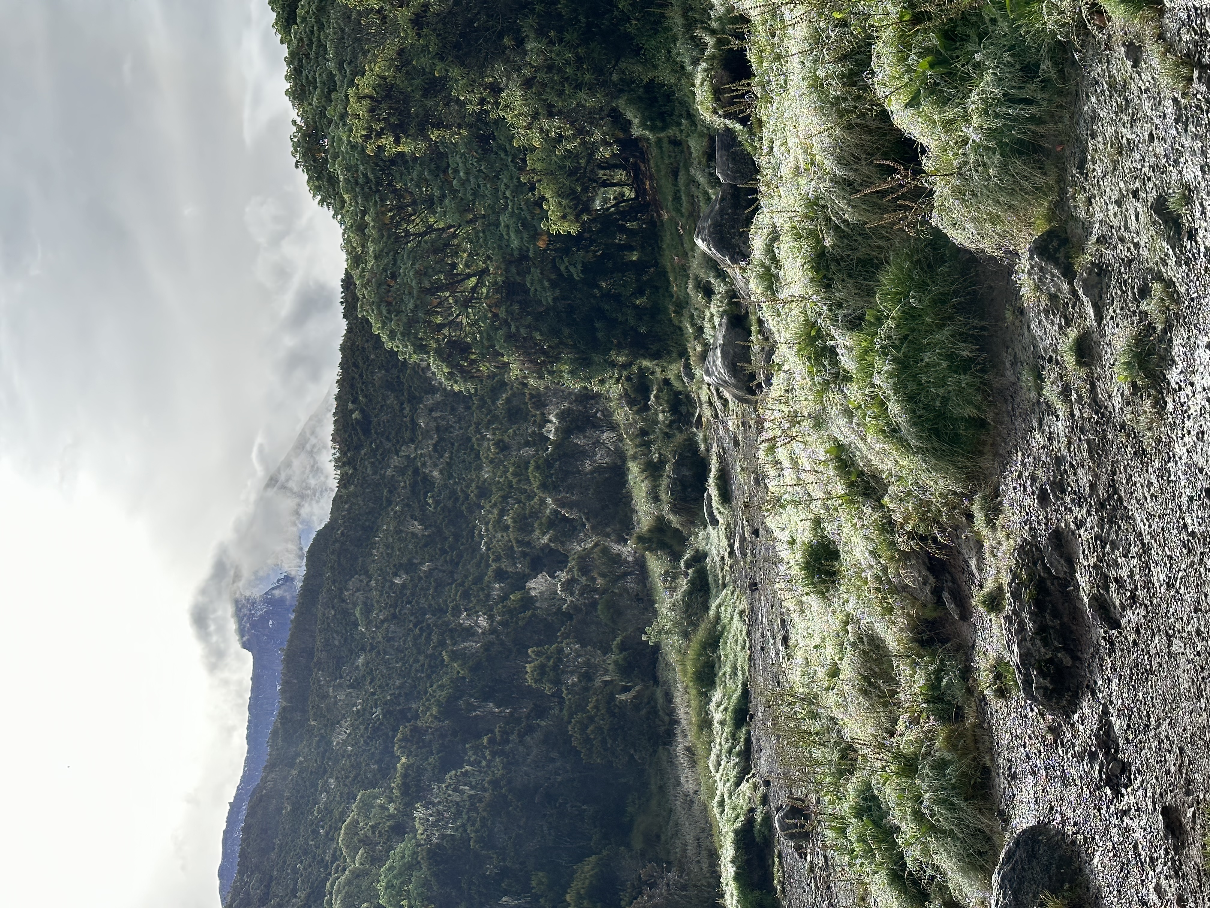 media_9ZRPFSFK6FH3RS49