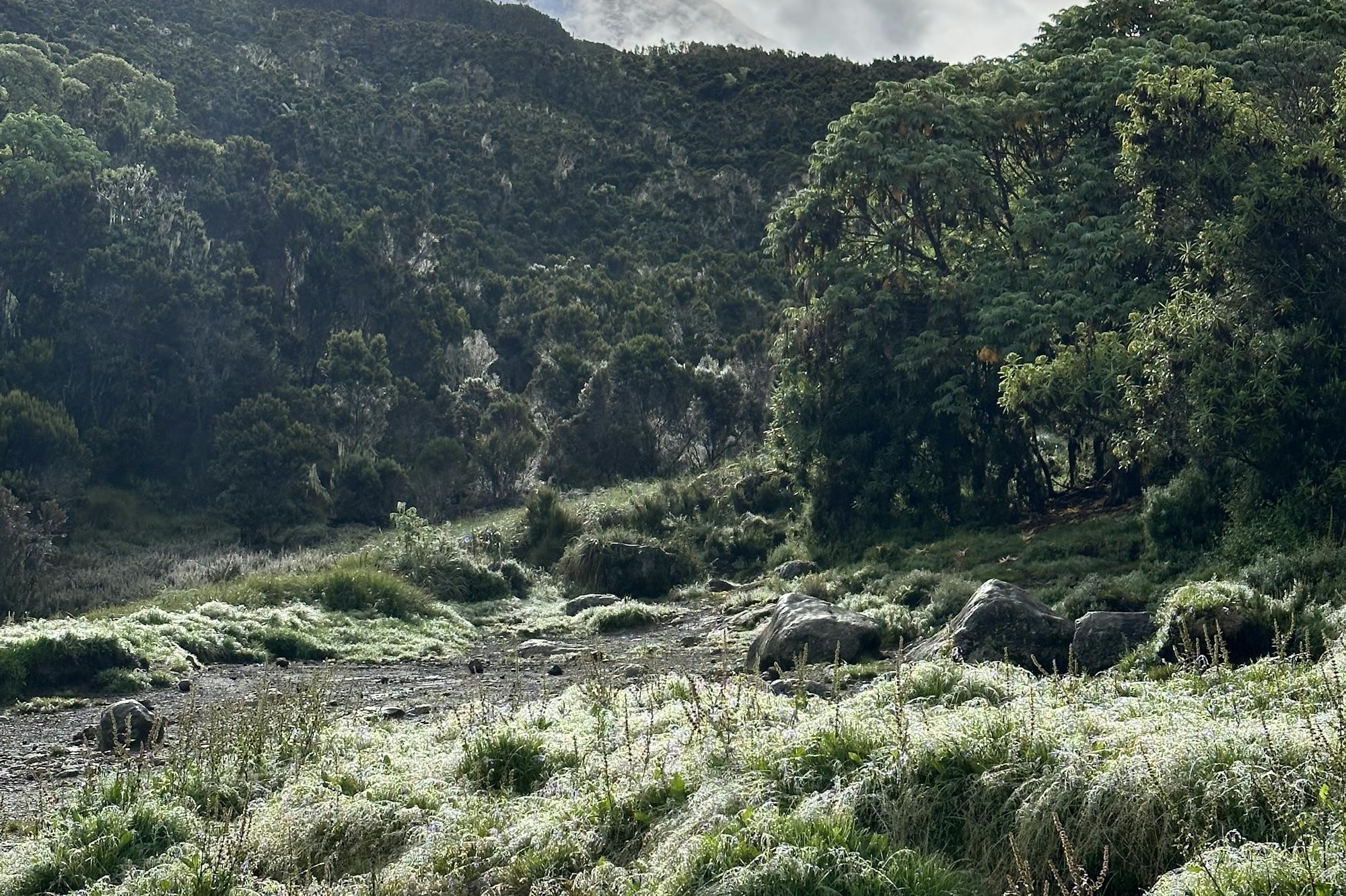 media_9ZRPFSFK6FH3RS49