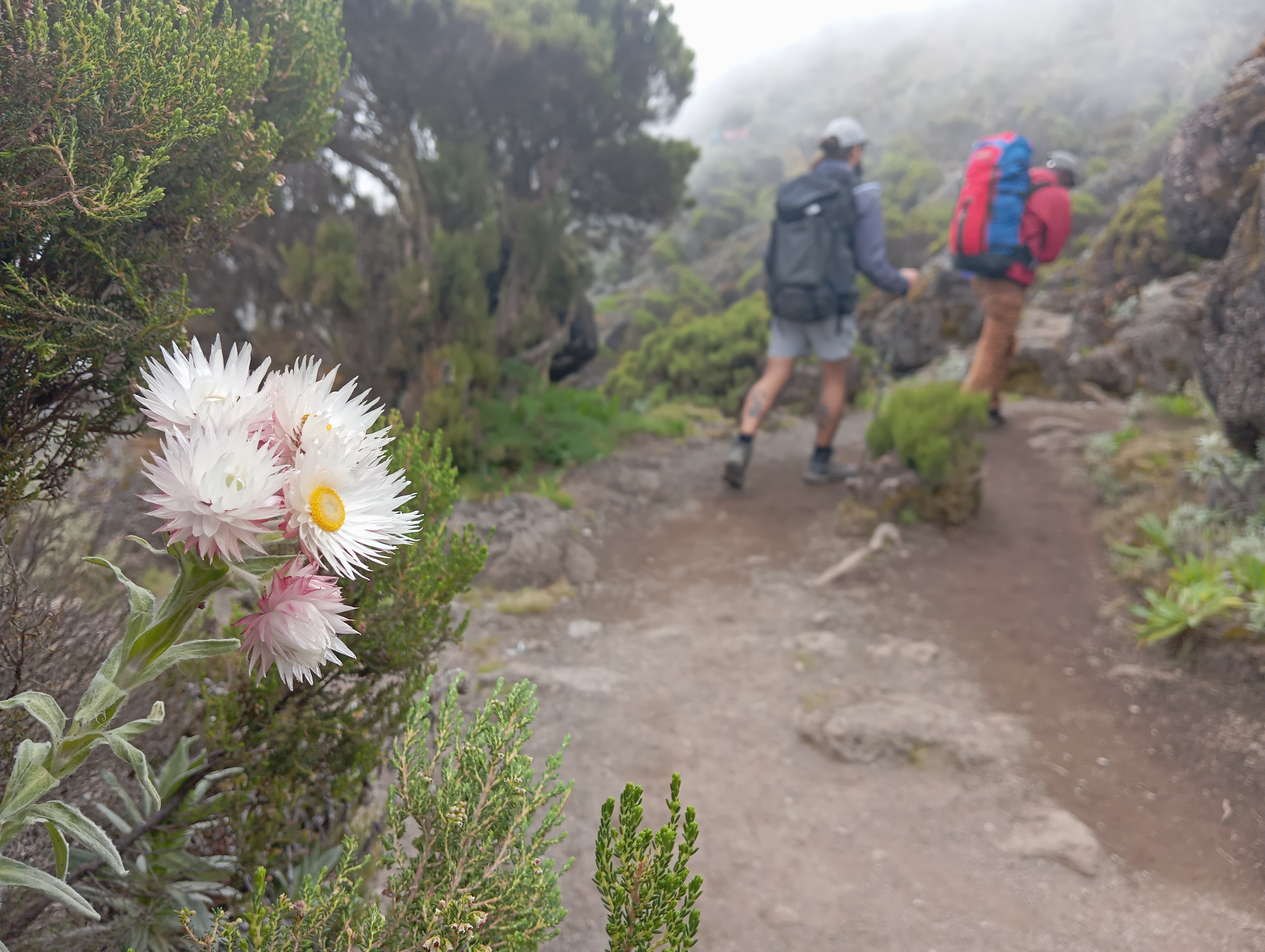 media_DJ8MKXZ8UPHRLMYZ