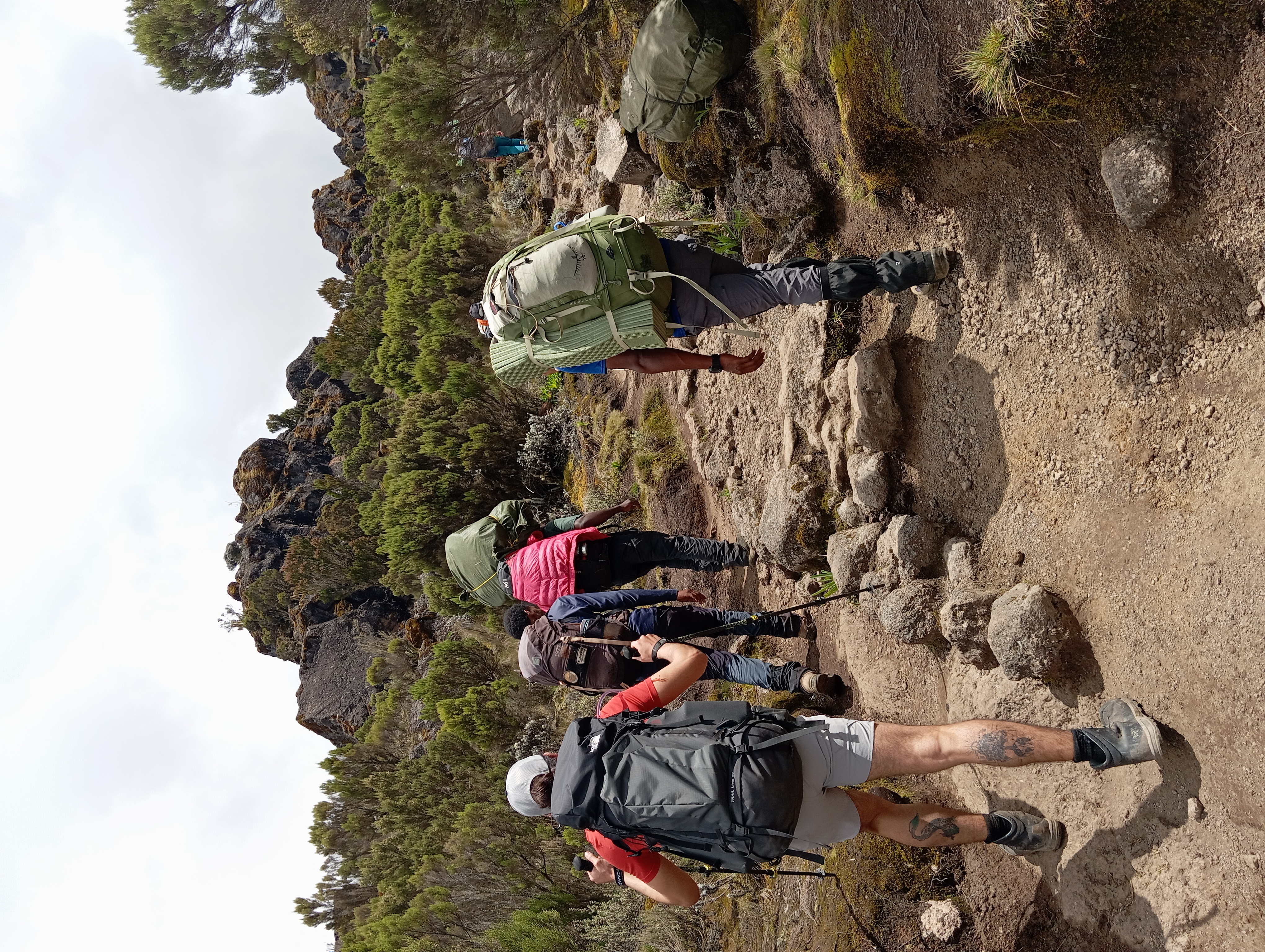 media_LC5J2W2PDKRQMBCB