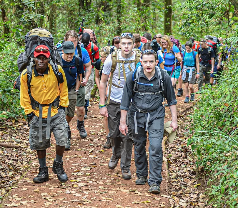 media_PEWQRP8BG836BA3P