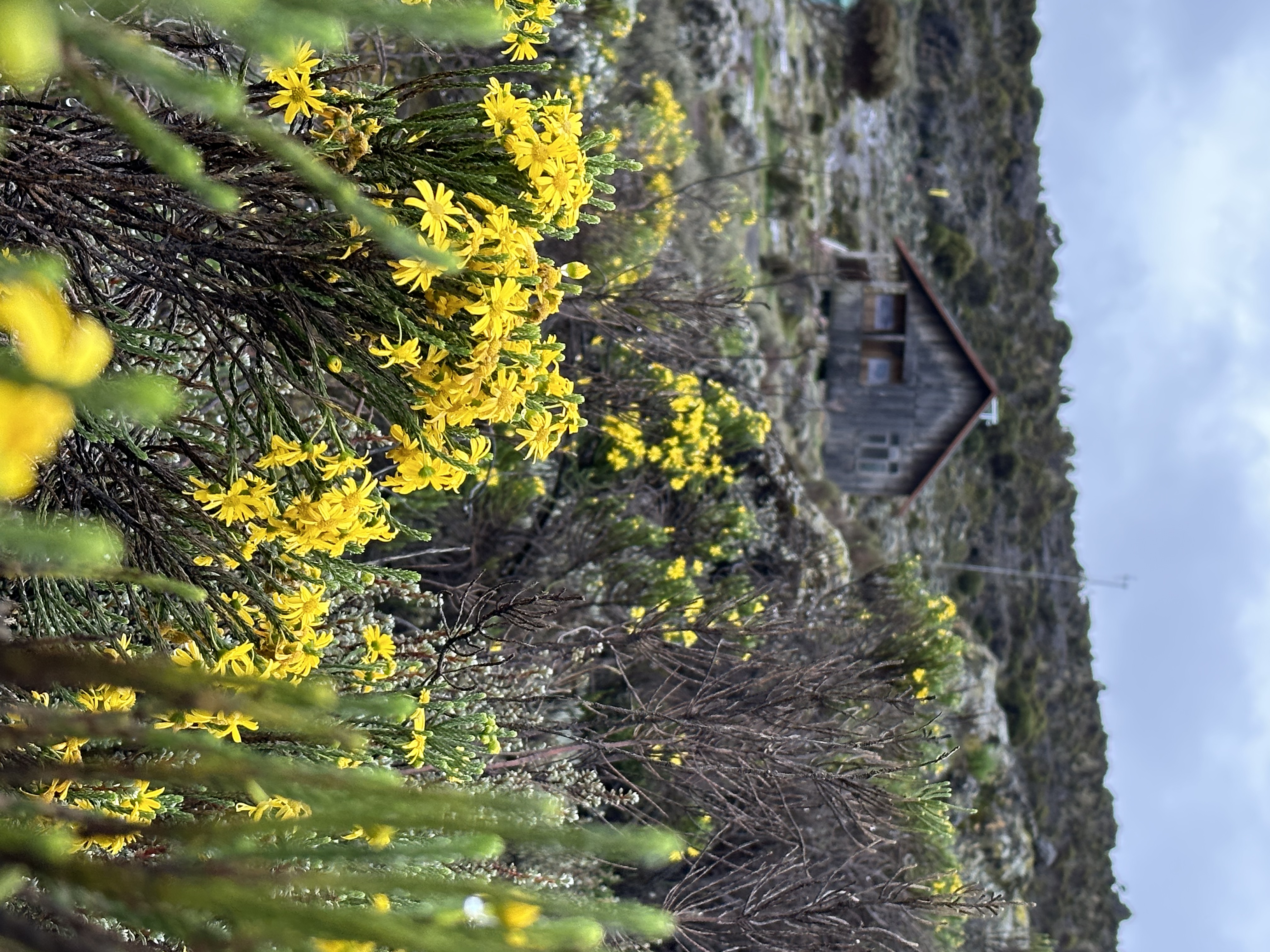 media_RV9WM4PME3WQFM8Q