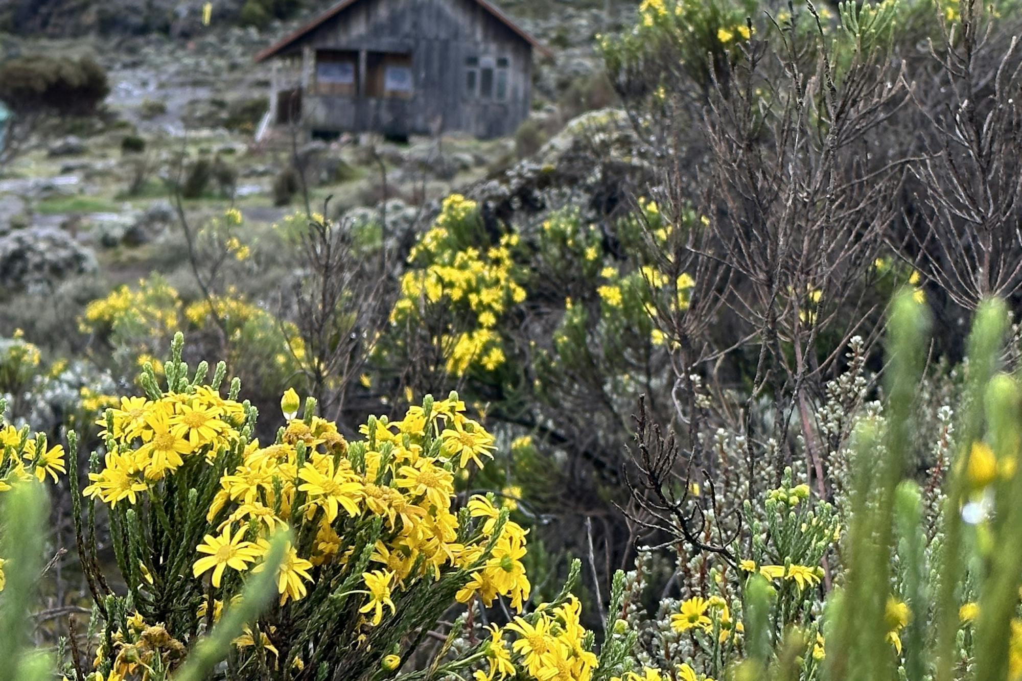 media_RV9WM4PME3WQFM8Q