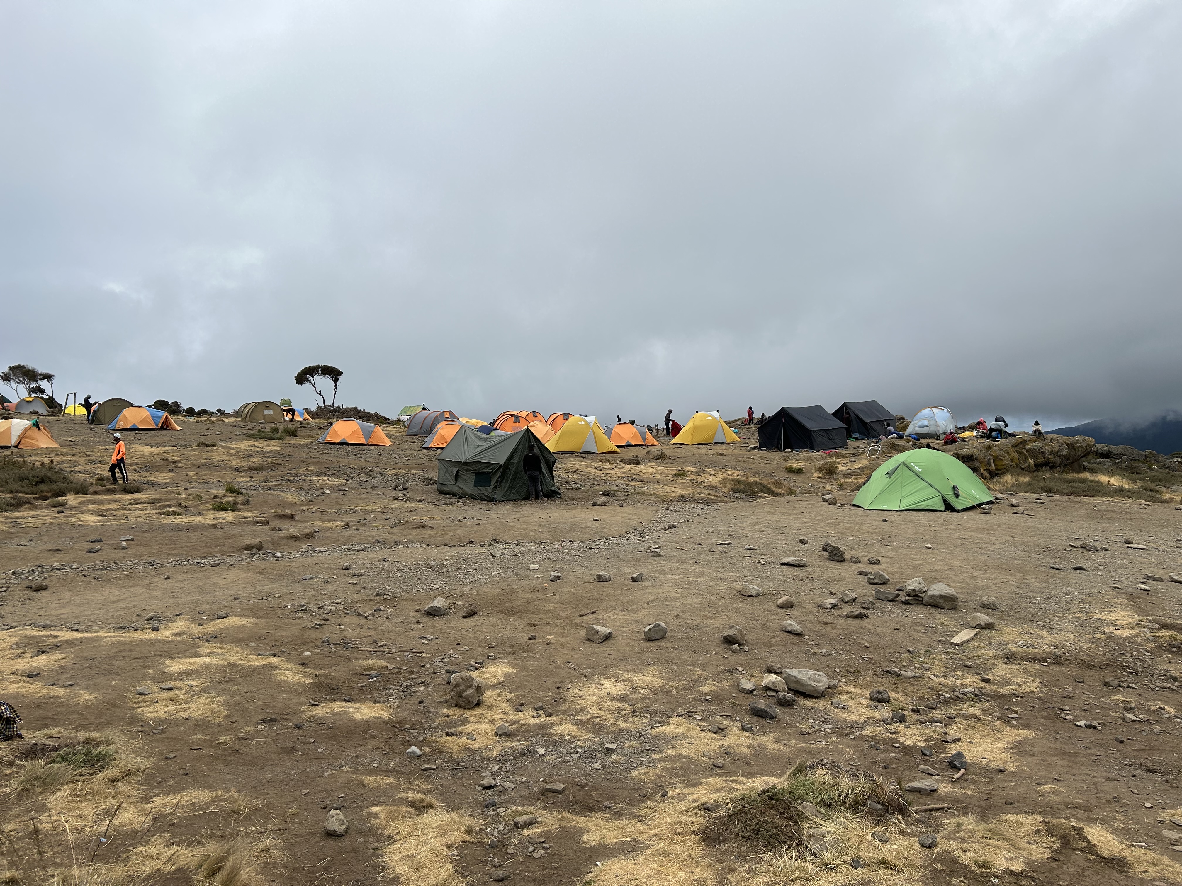 media_SEQUBJHWXSKWMQK6