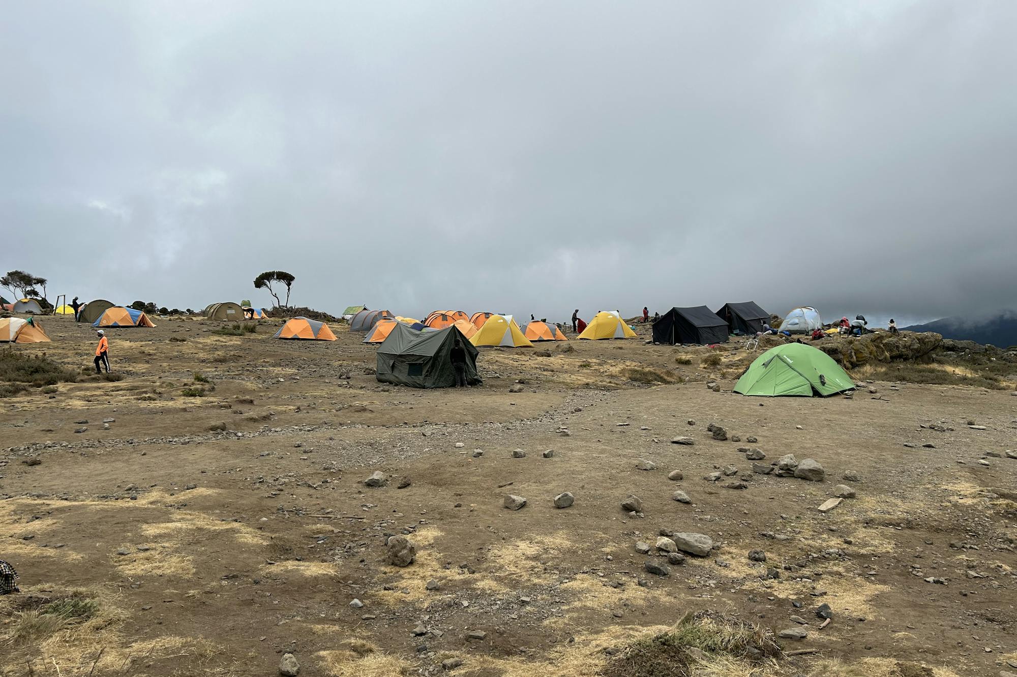 media_SEQUBJHWXSKWMQK6