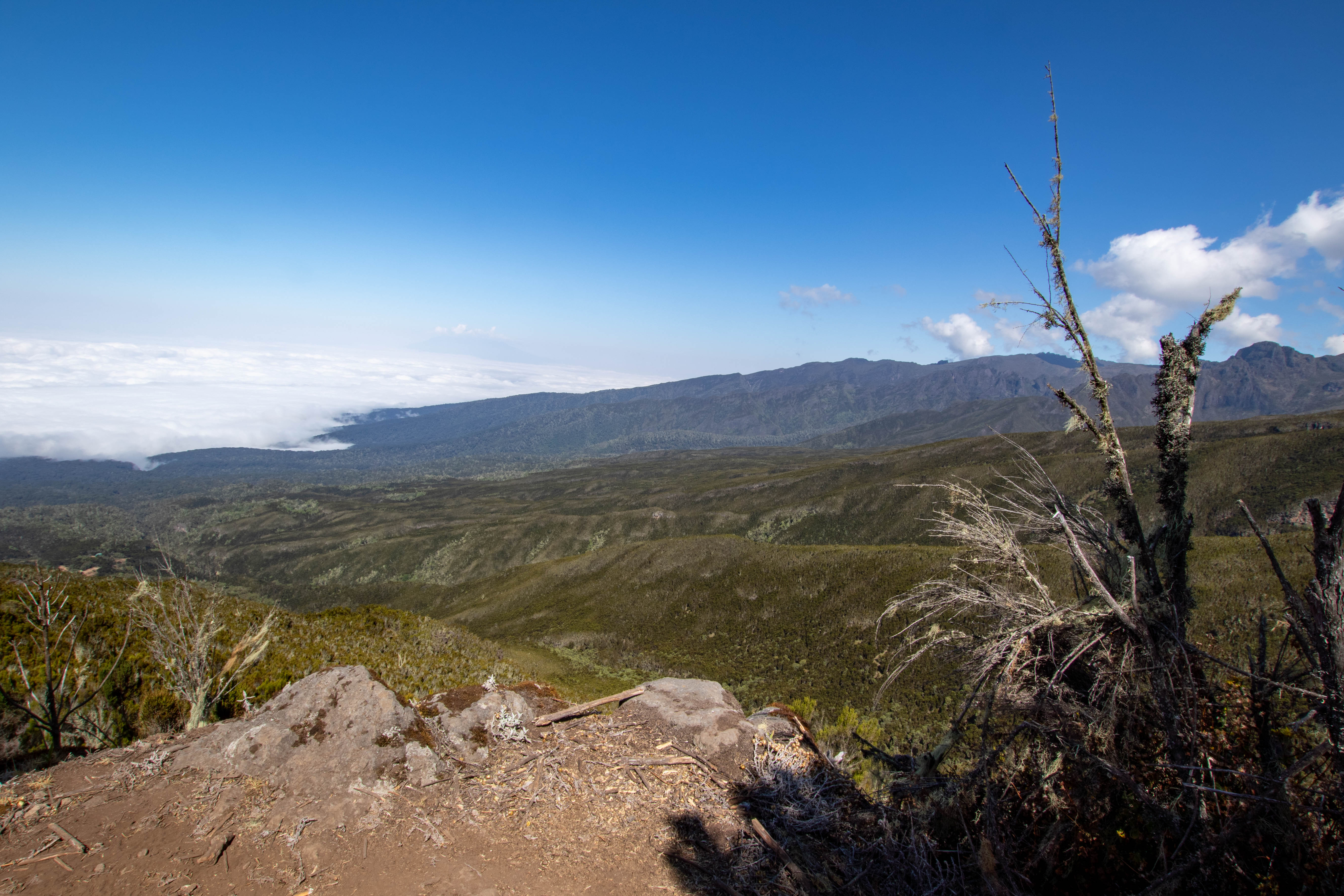 media_SUTM7YEUKAG9WPEG