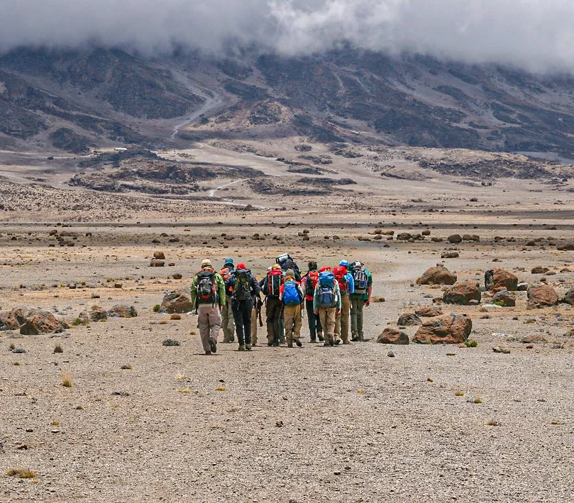 media_VEV3JG3HGBXLA5FX