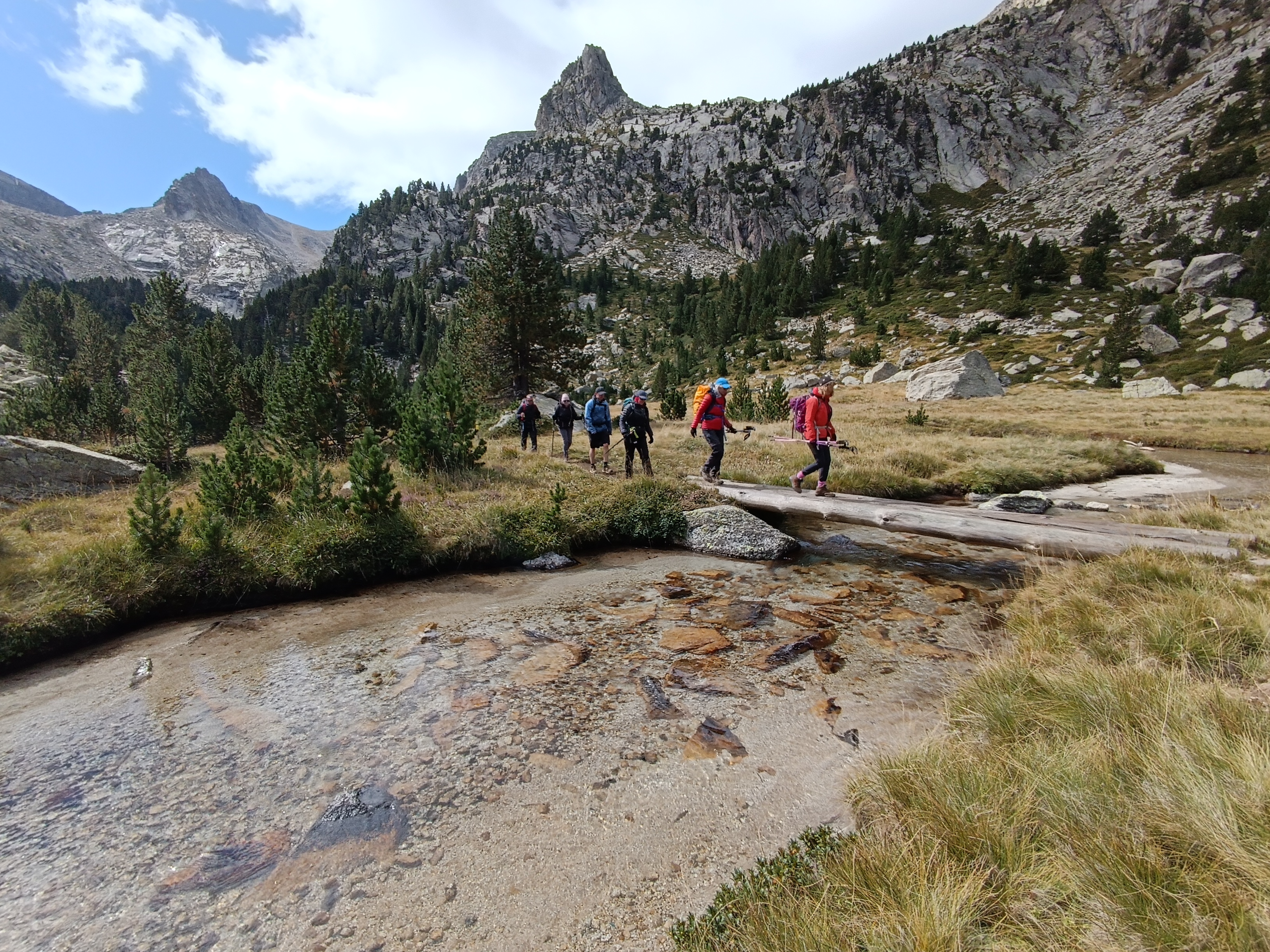 media_7TRUJMPBTGU6VQD5