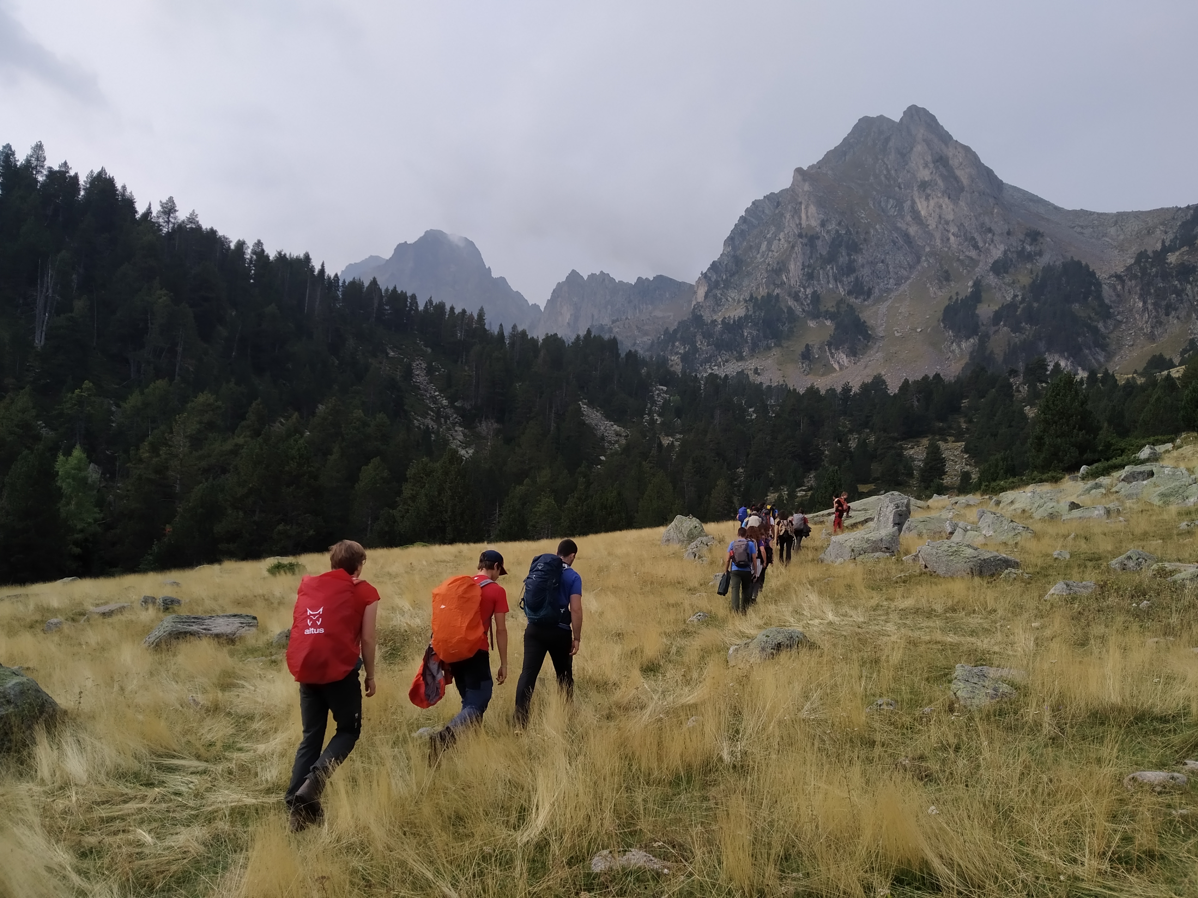 media_RZADVBGW933V7S3Y