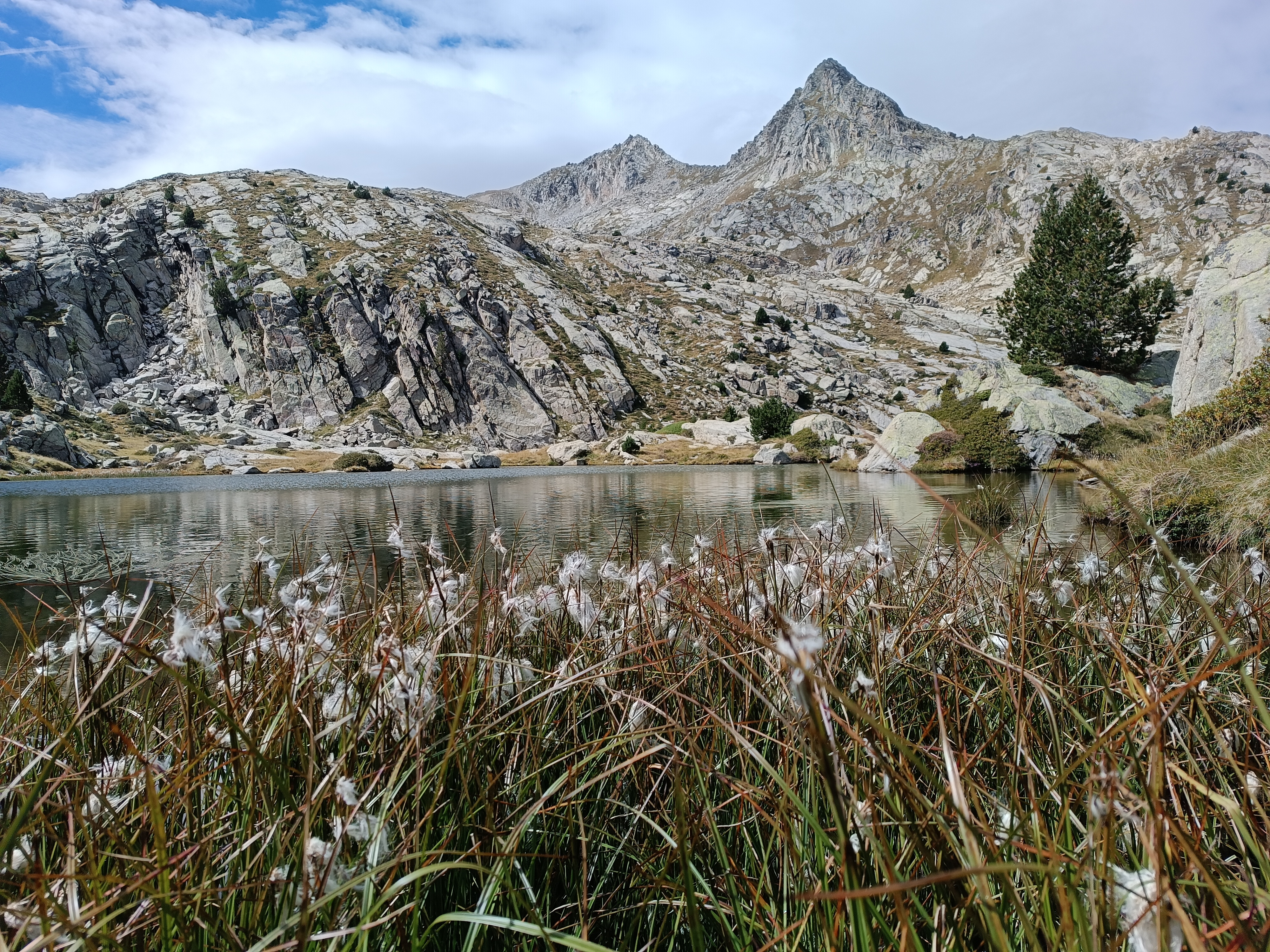 media_U9L45Z6L3GULEJLB