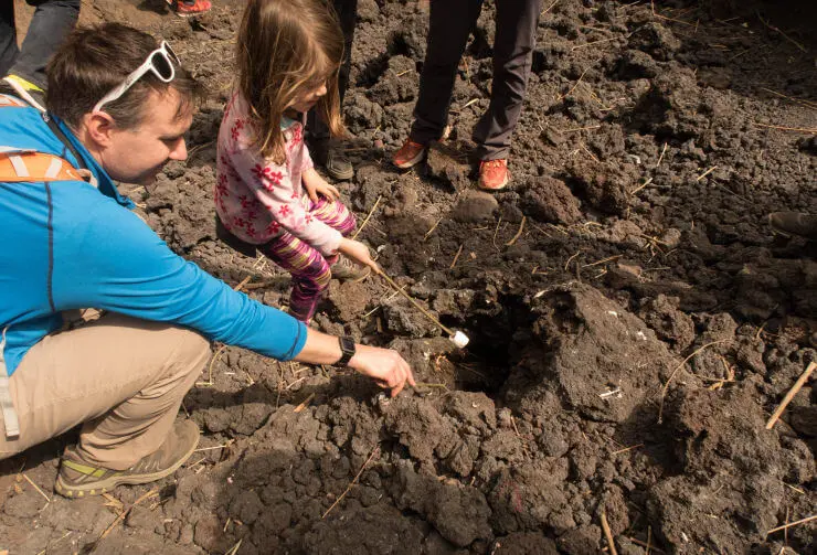 media_UPR5J4UKKYRG26JB