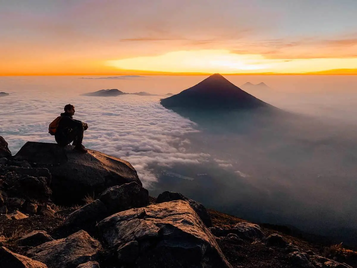 media_ZJQYEBZMVAWZ7UEL