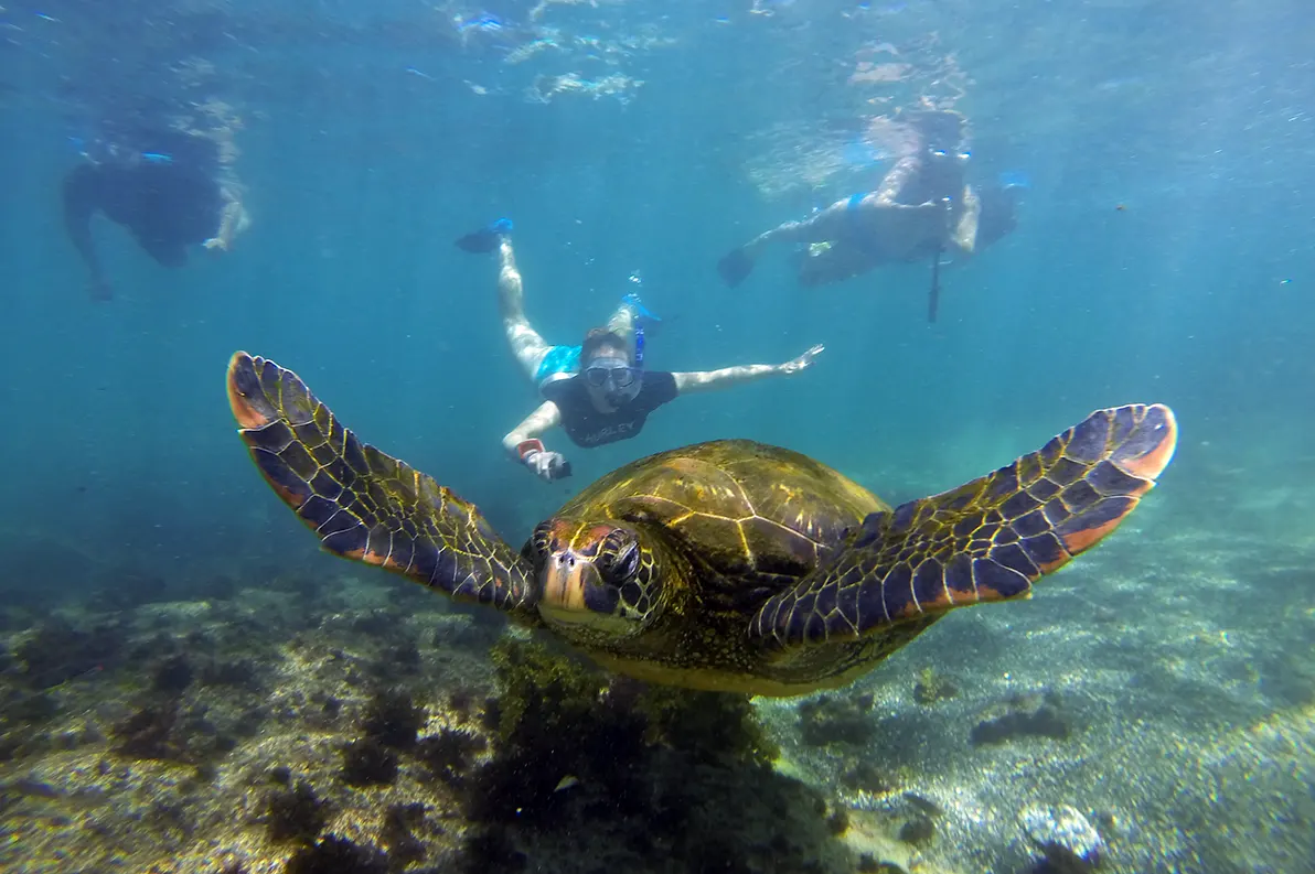 Galapagos and Amazon Quest