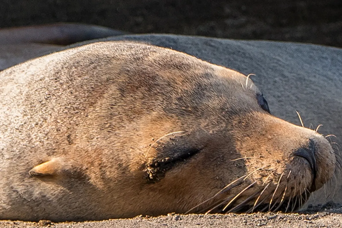 media_548UCMFNBE99P96W