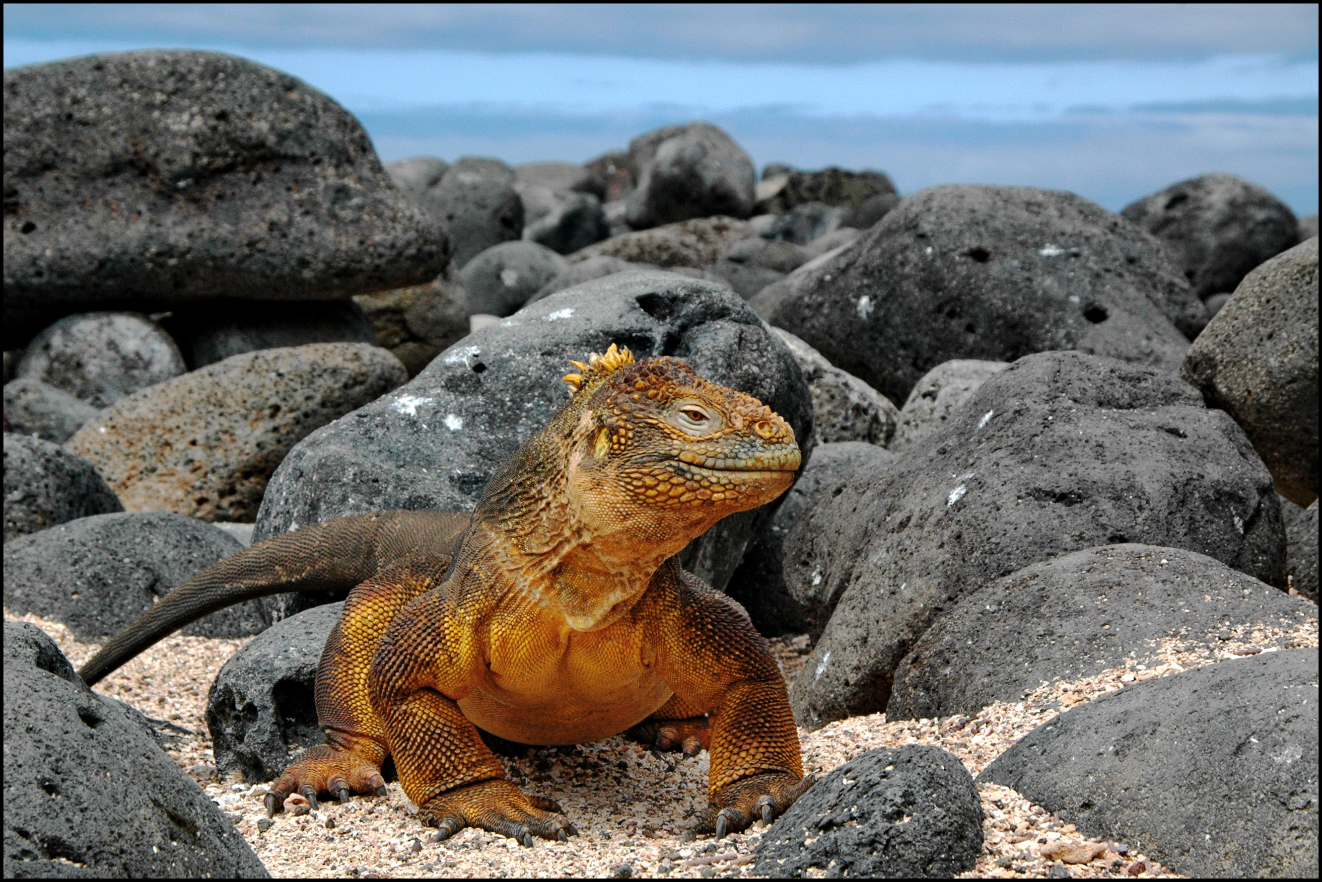 media_5UGG3KH5VXW4PS4H