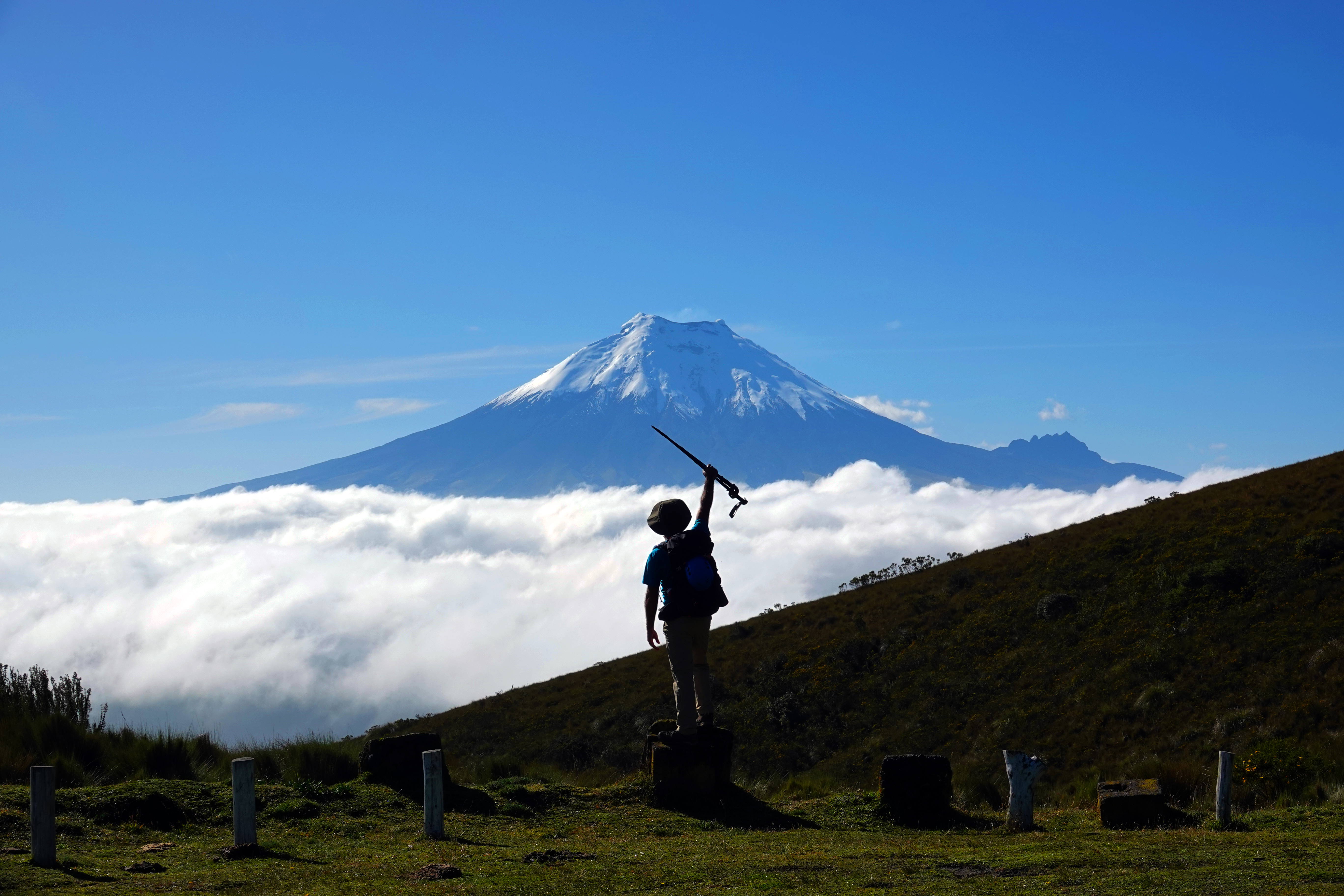 media_H2L4NSF6JF3PG8W7