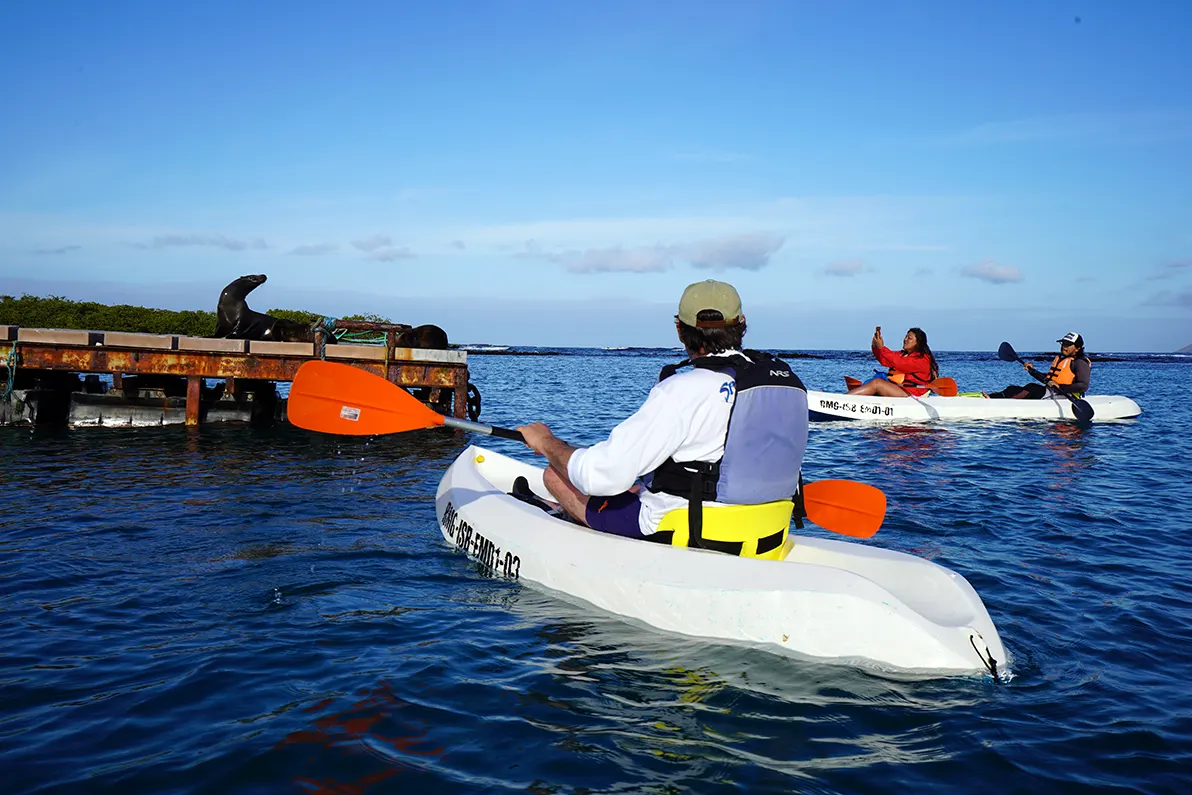 media_T3END26YR4LLH3AL