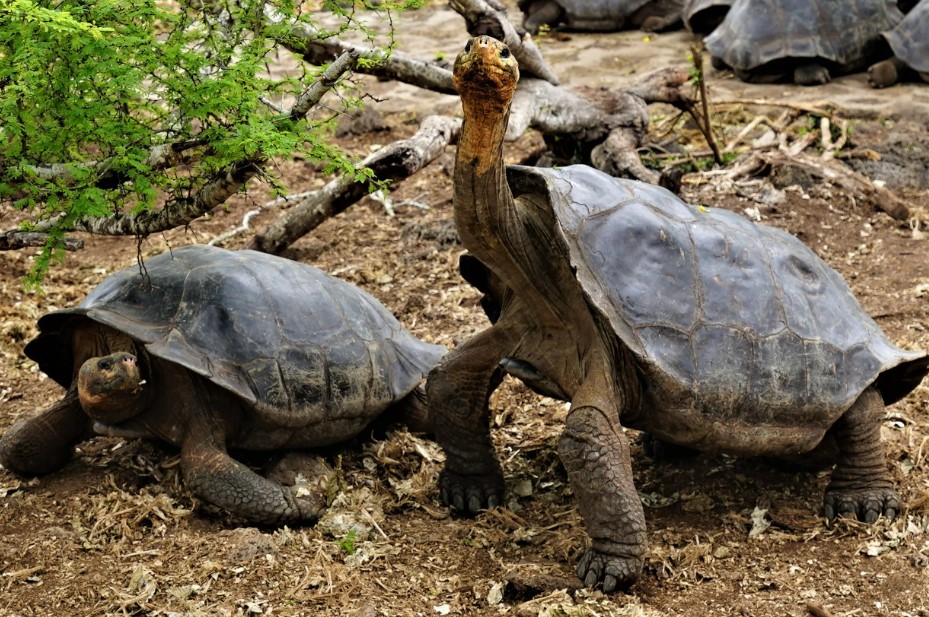 media_WW5K4C67MQRUZZDP