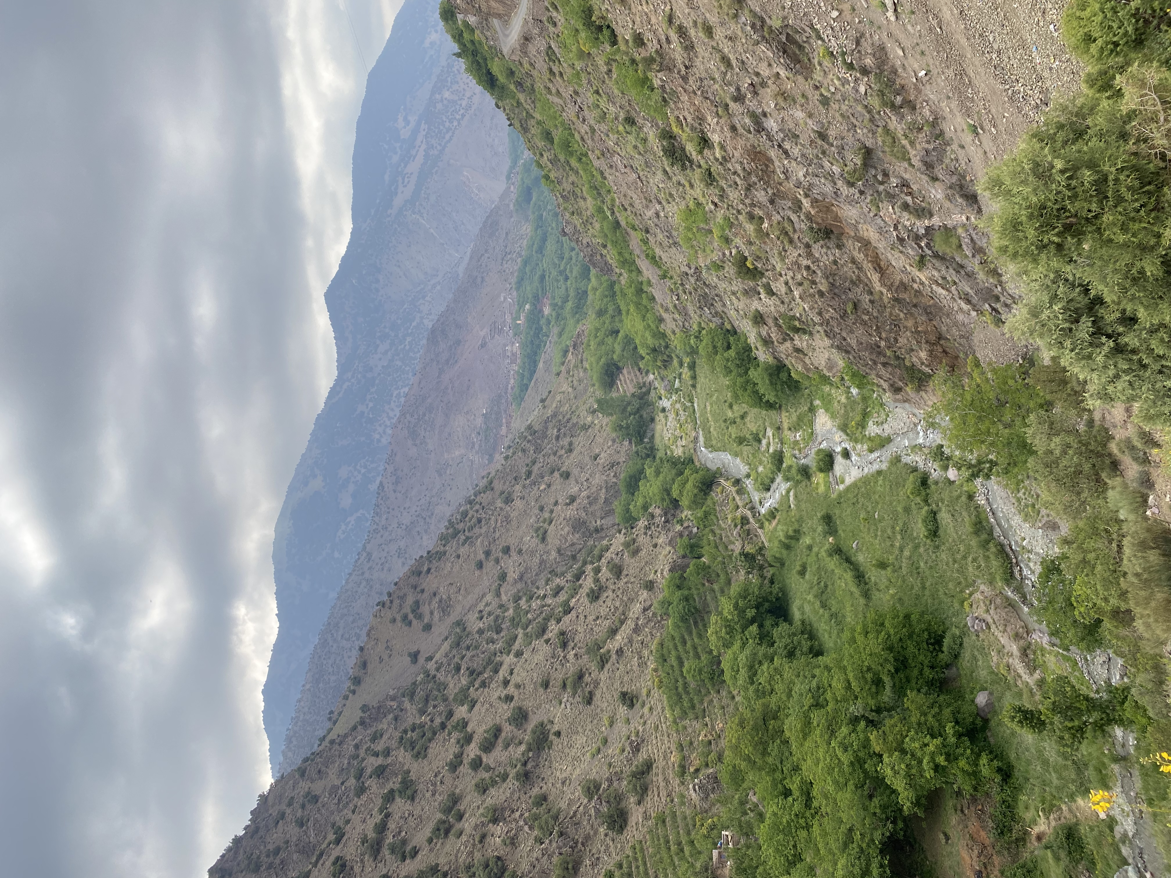 media_6G5N8AEPZP8E7UWW