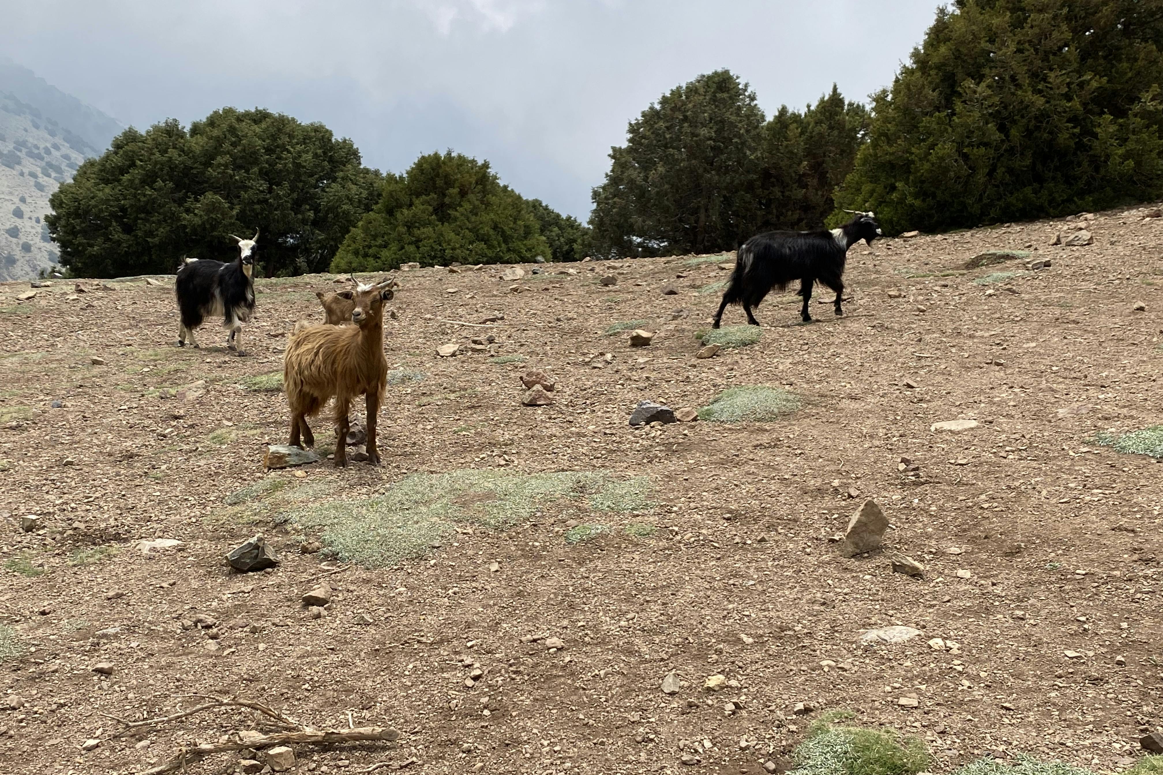 media_F35KVBMFZ7UKPG2R