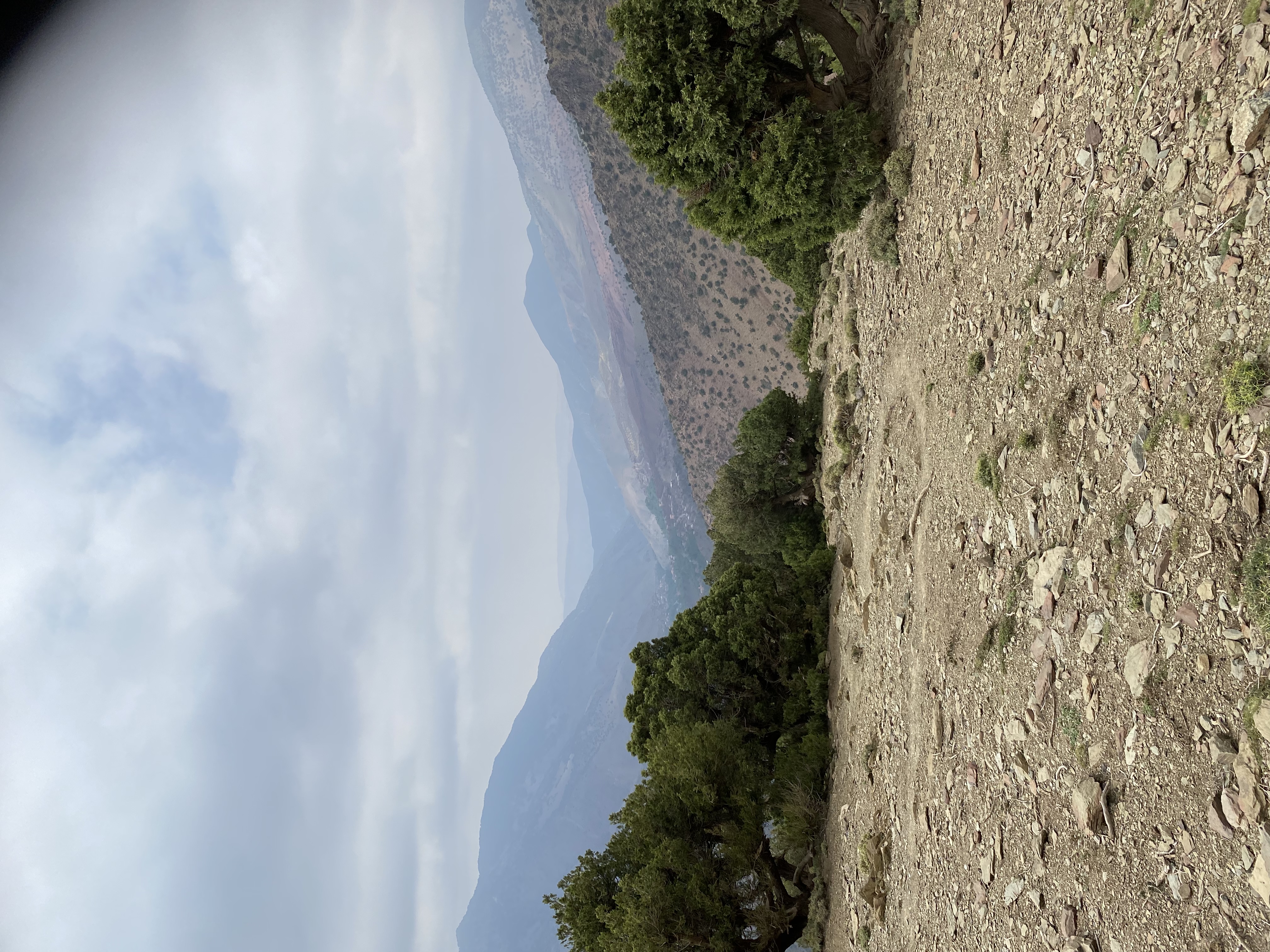 media_LBN8ZSXV7YBC334H