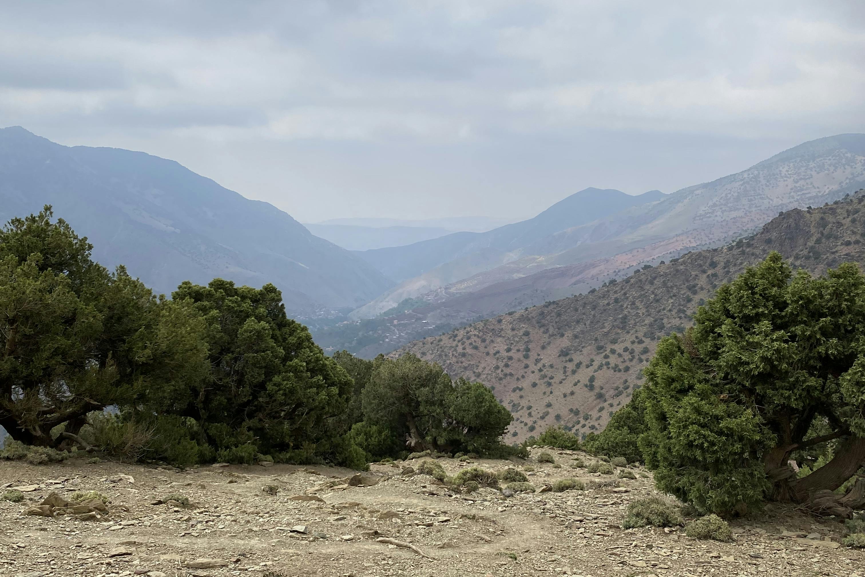 media_LBN8ZSXV7YBC334H