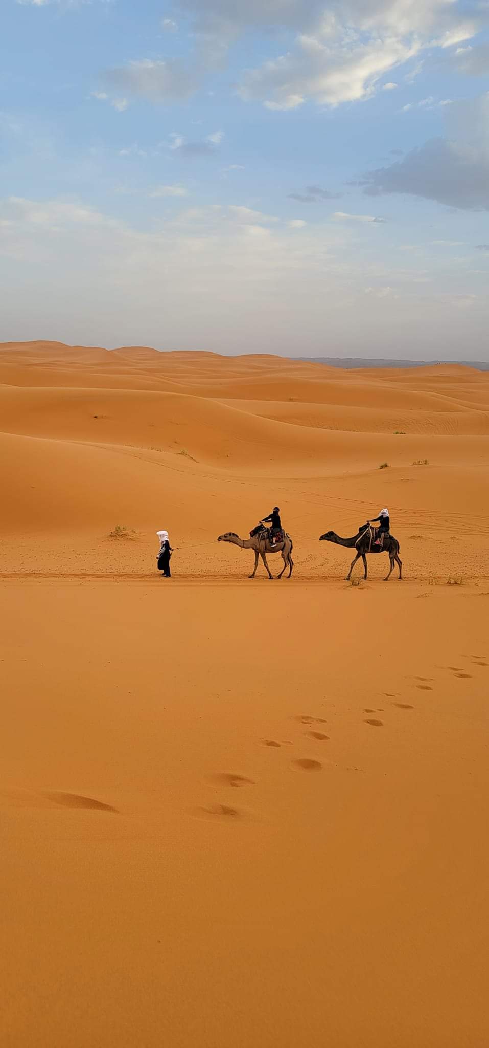 media_DUFWT8LWTR846B4A