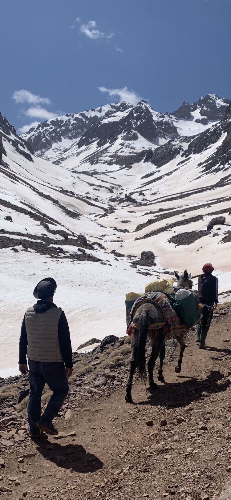 media_DZAG69SF2HCB3SRY