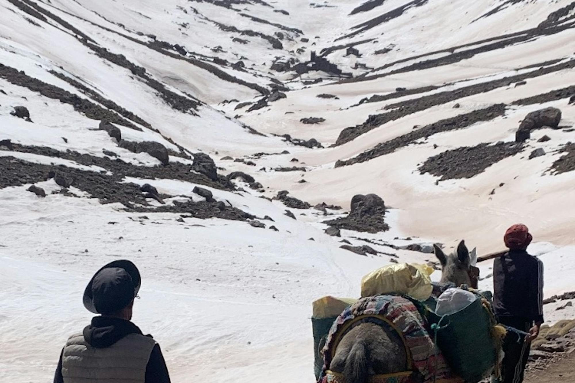 media_DZAG69SF2HCB3SRY