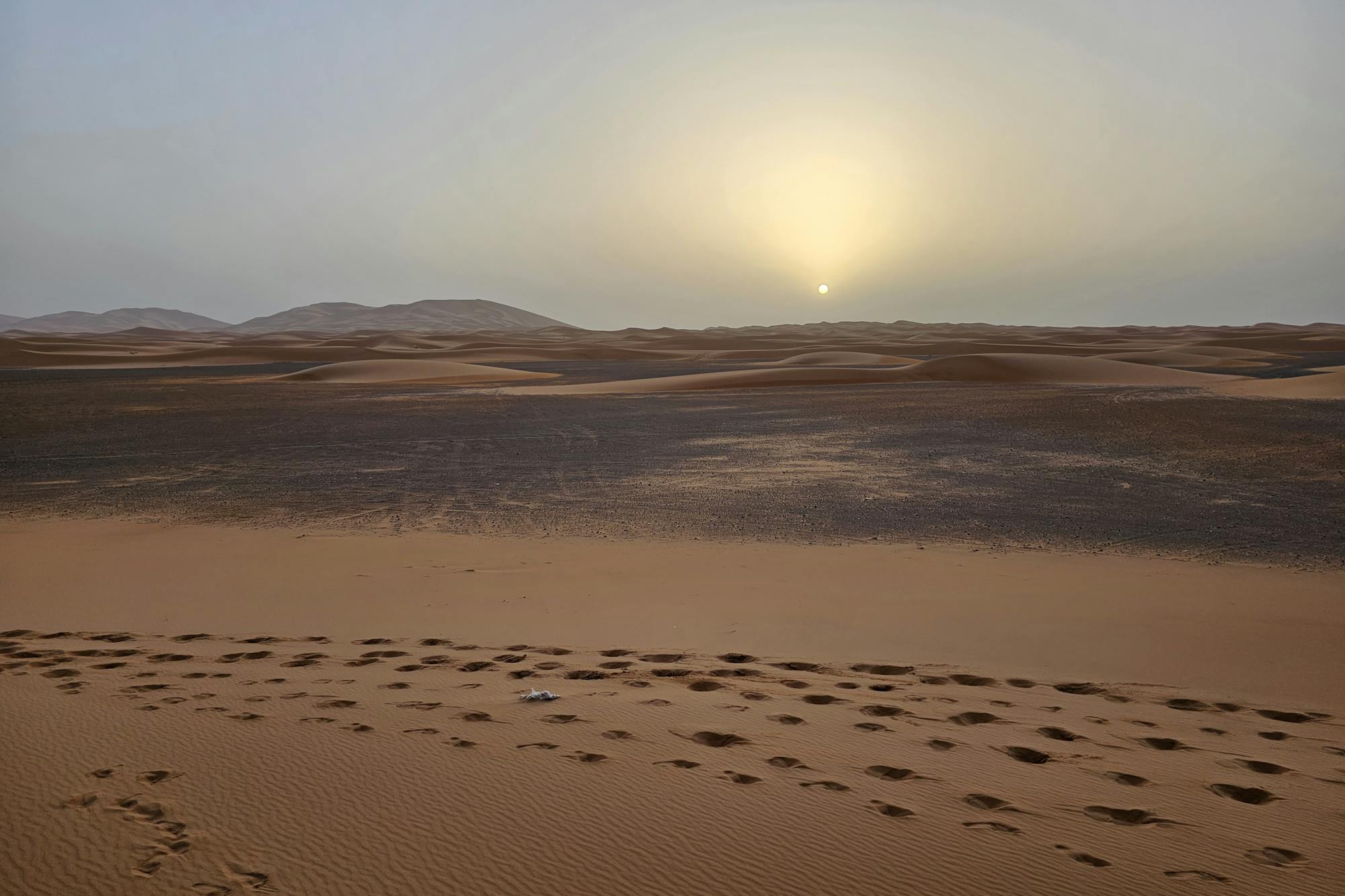 media_NEJLEXEGD5T2V62G