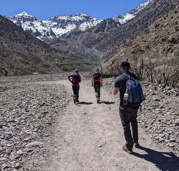 media_P64SARR2SC4WY5HA