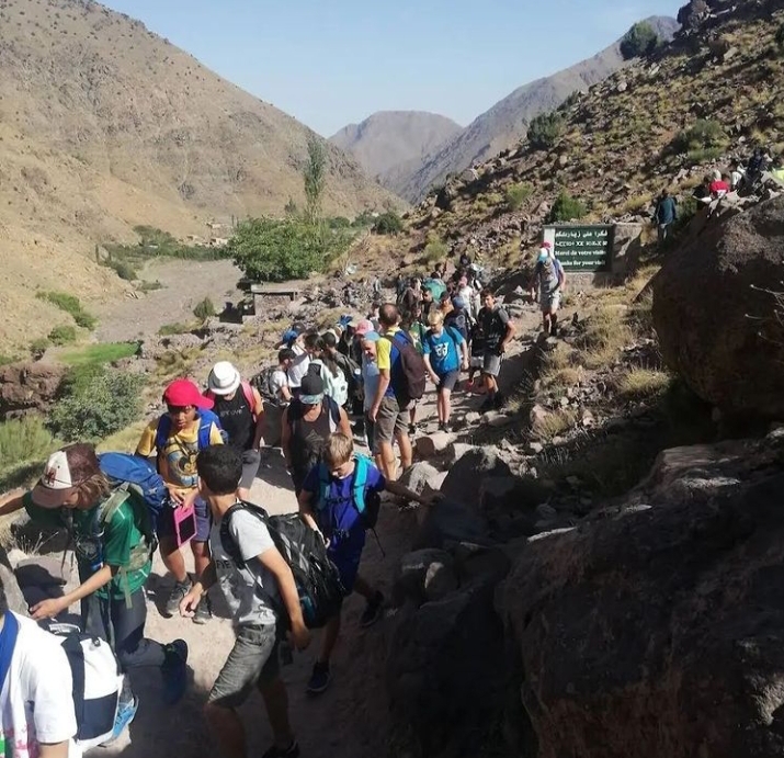 media_QDY29XB62X9AGQZZ