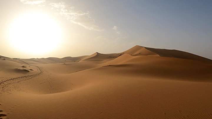 media_Z8NUZYBNJAKXQNC8