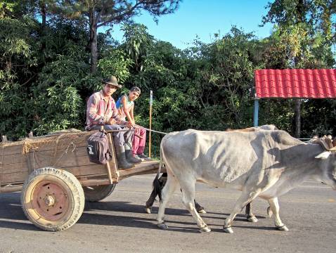 media_3MDZJR8PZNVNANWN