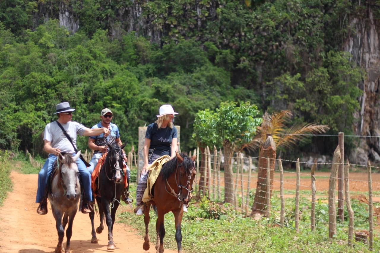 media_9XW295RC33V37ND4