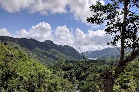 media_LVFV6TW5C5WPGKK6