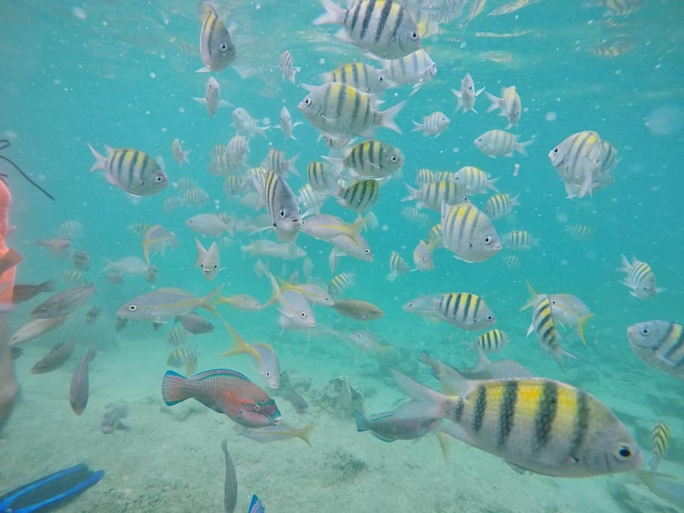 media_PG876SSVSHALUCWE